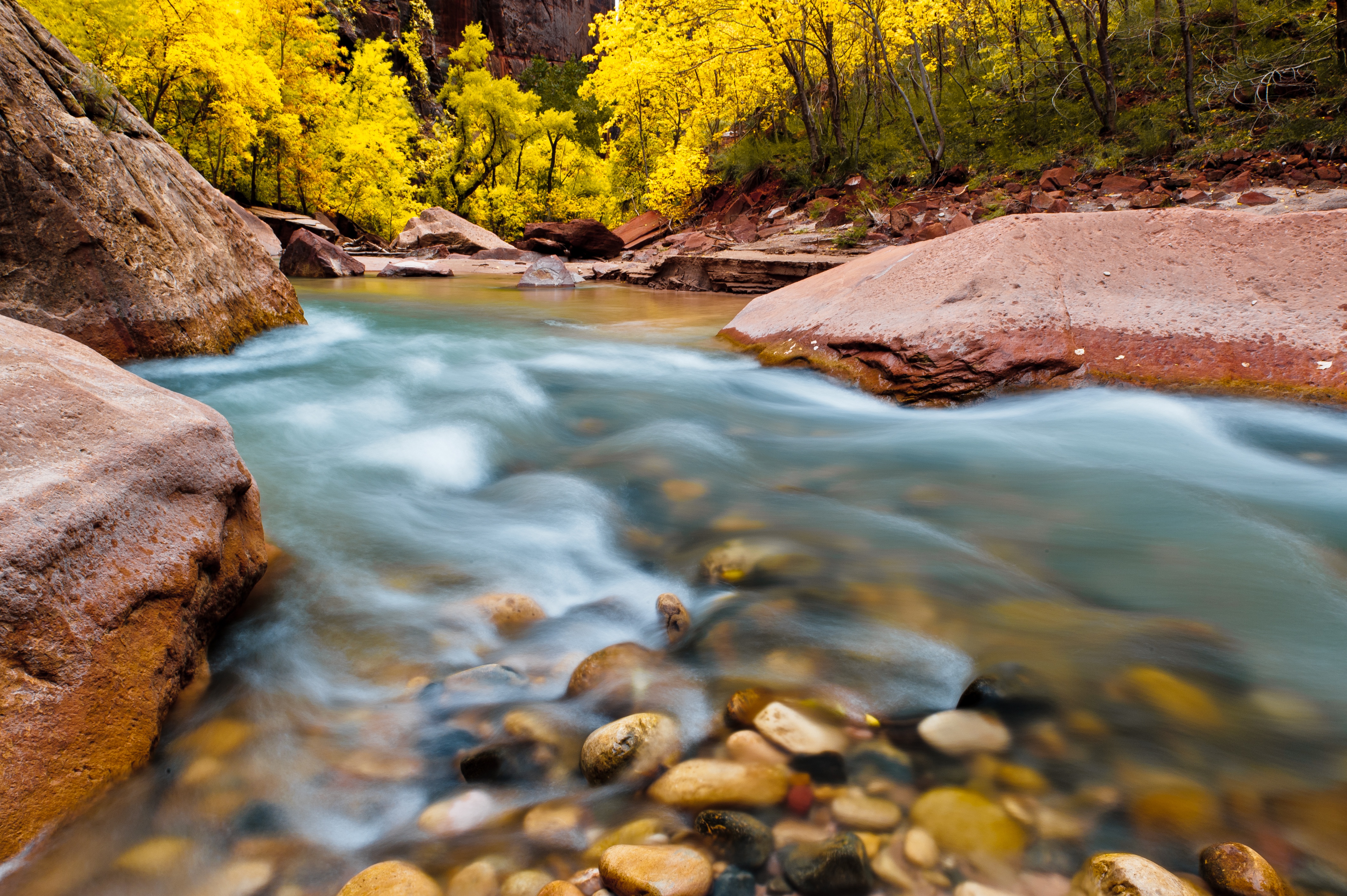 Скачать картинку Река, Национальный Парк Зайон, Камень, Национальный Парк, Земля/природа в телефон бесплатно.