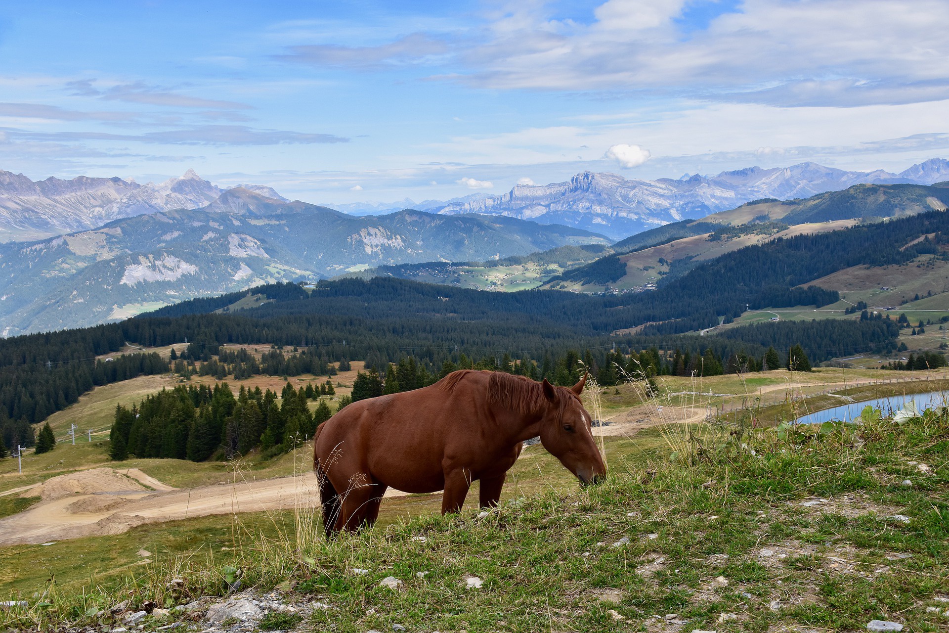 Free download wallpaper Landscape, Animal, Horse on your PC desktop