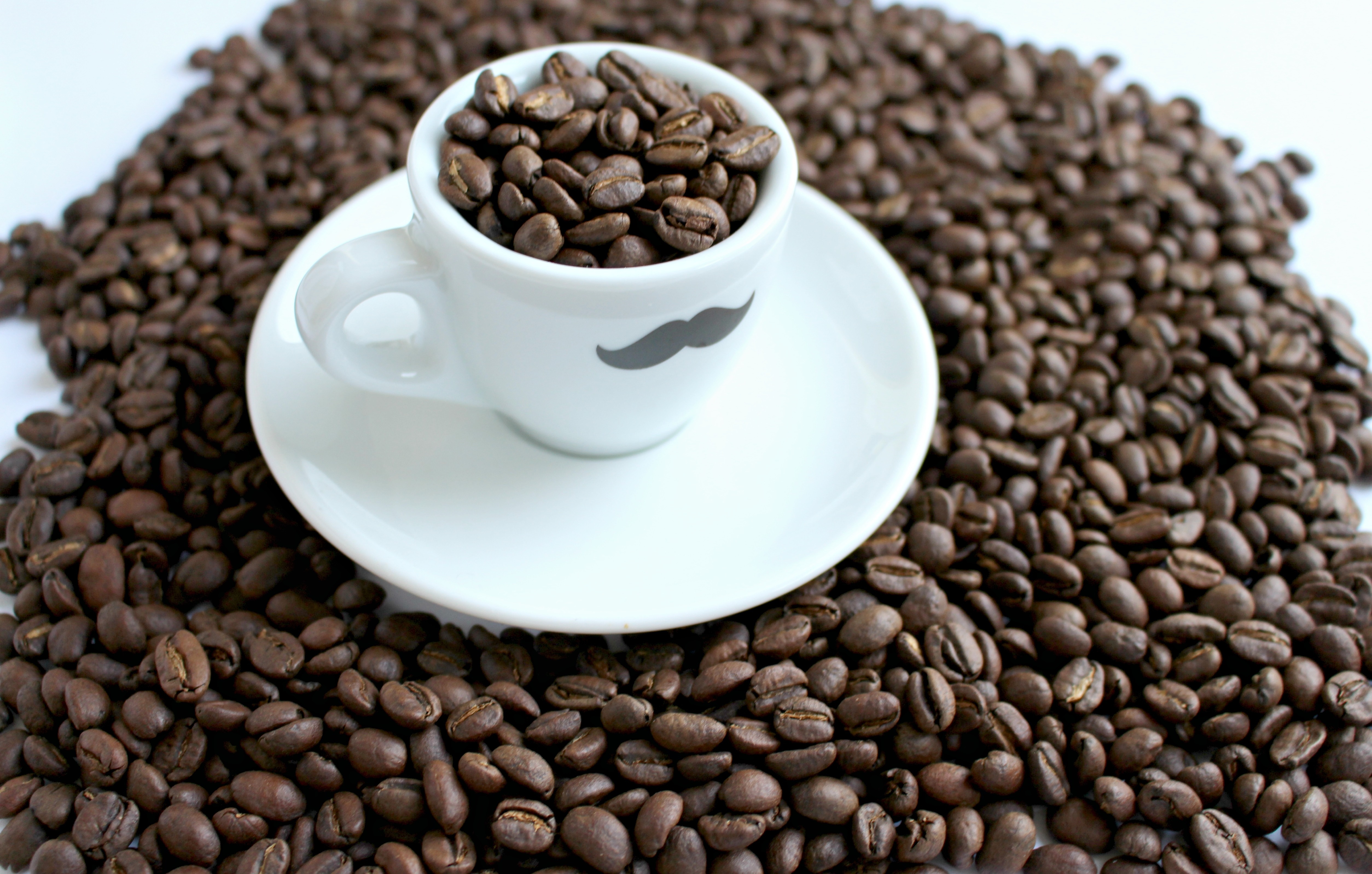 Download mobile wallpaper Food, Cup, Coffee Beans, Coffee for free.