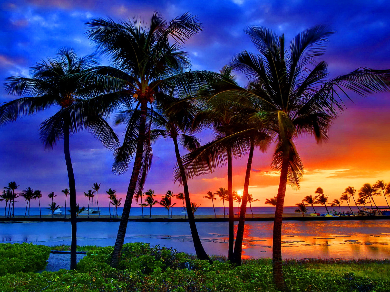 Download mobile wallpaper Sunset, Earth, Tropical, Palm Tree for free.