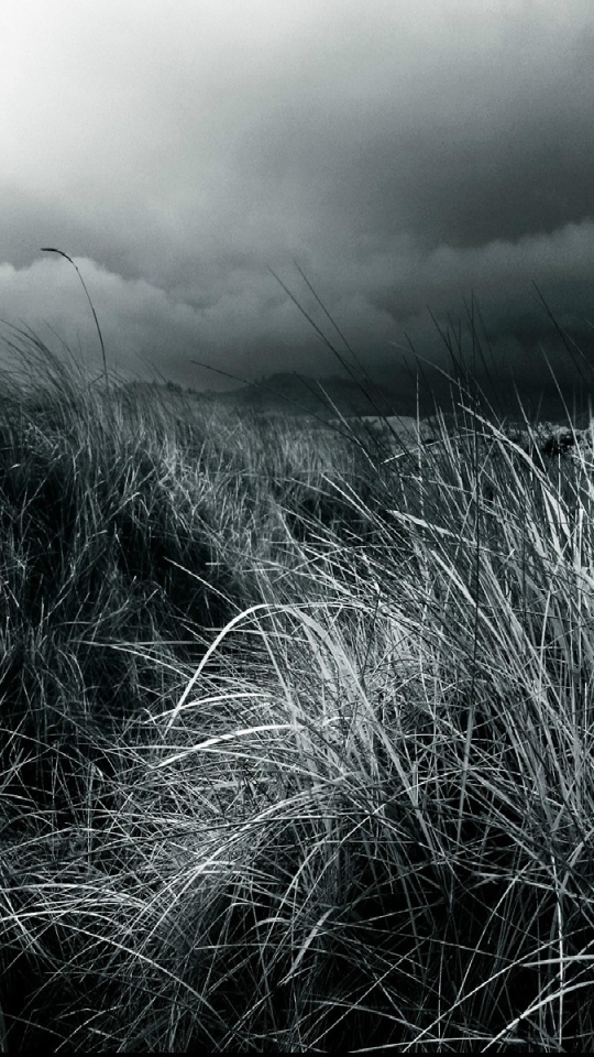 Download mobile wallpaper Landscape, Grass, Cloud, Photography, Black & White for free.