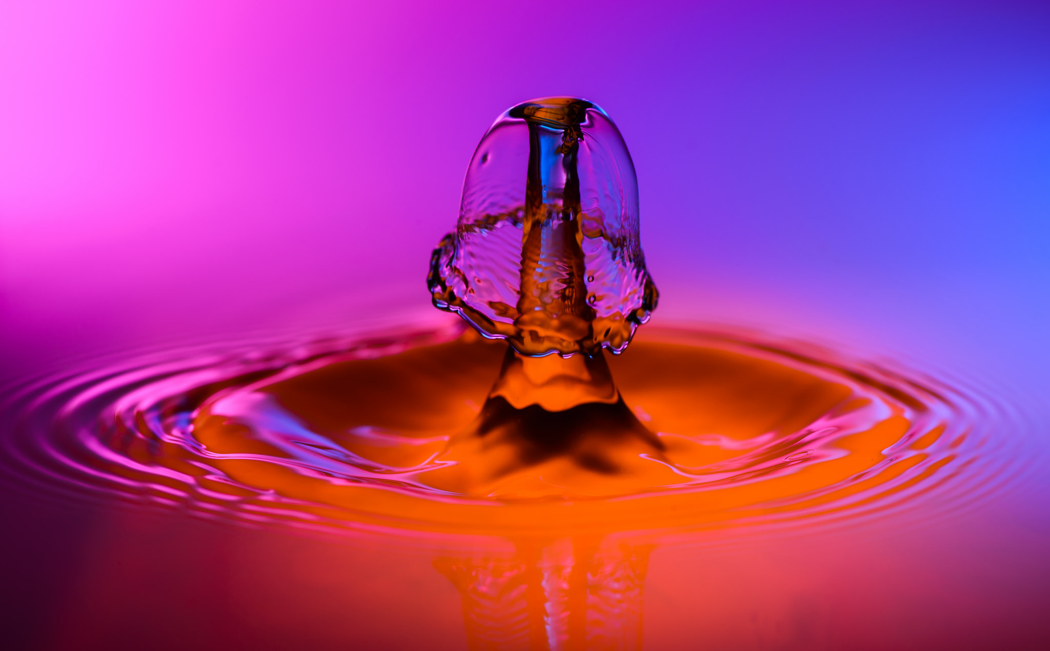 Download mobile wallpaper Water, Macro, Earth, Purple, Colorful, Water Drop, Orange (Color) for free.