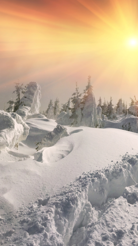 Download mobile wallpaper Winter, Nature, Snow, Earth, Sunbeam, Sunbean for free.