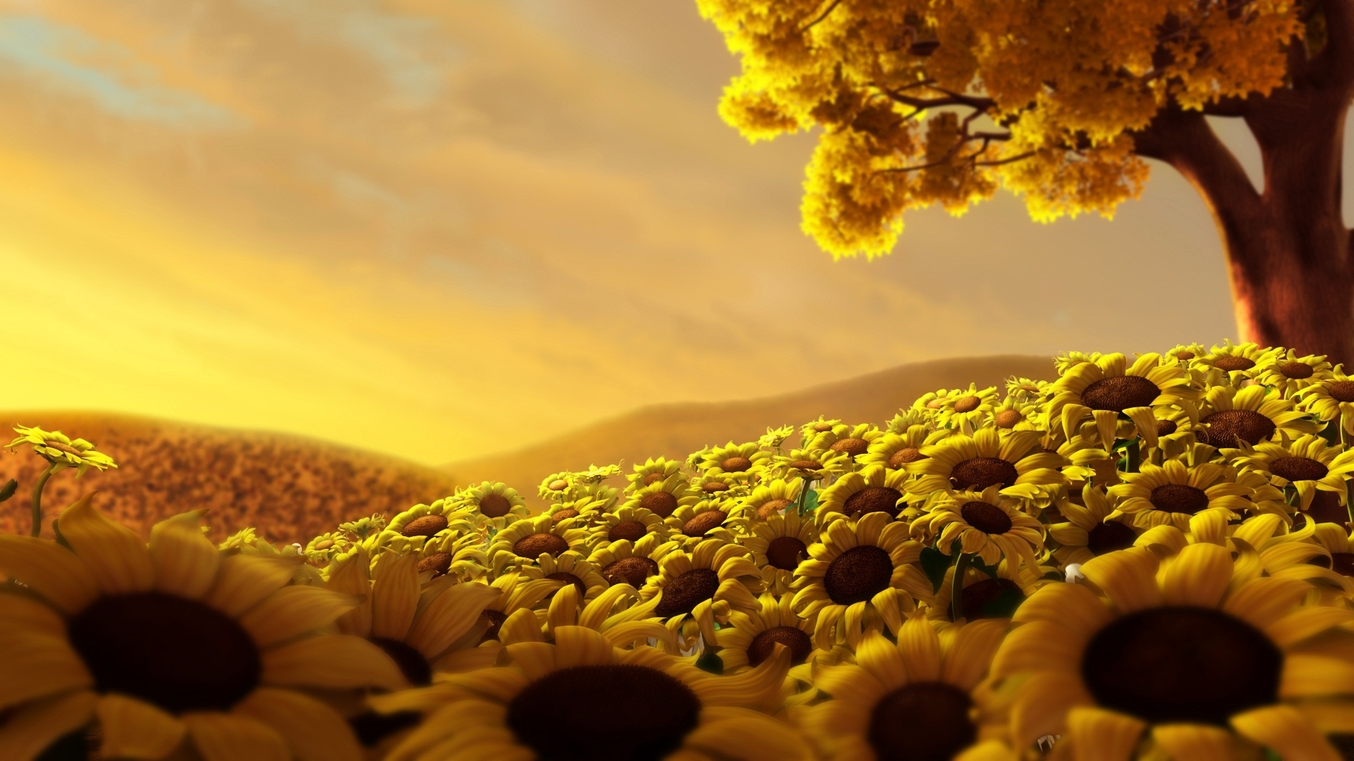 49974 Hintergrundbild herunterladen sonnenblumen, pflanzen, landschaft, gelb - Bildschirmschoner und Bilder kostenlos