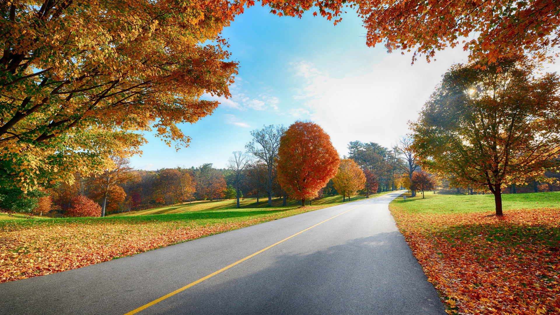 PCデスクトップに木, 道路, 秋, 葉, 風景画像を無料でダウンロード