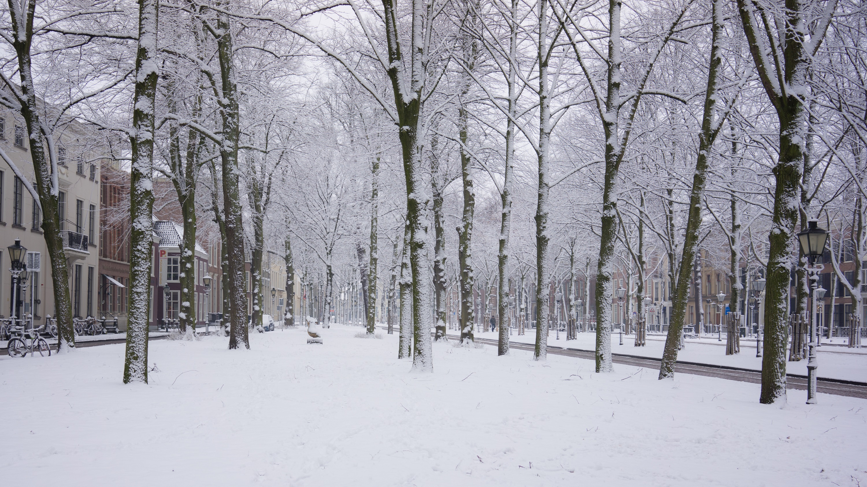 Скачать обои бесплатно Зима, Снег, Дерево, Дом, Фотографии картинка на рабочий стол ПК