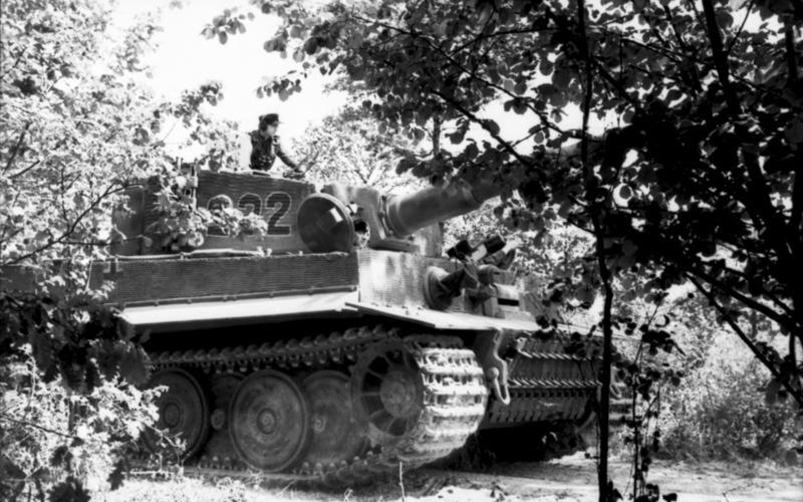 308596 скачать обои военные, тигр i, танки - заставки и картинки бесплатно