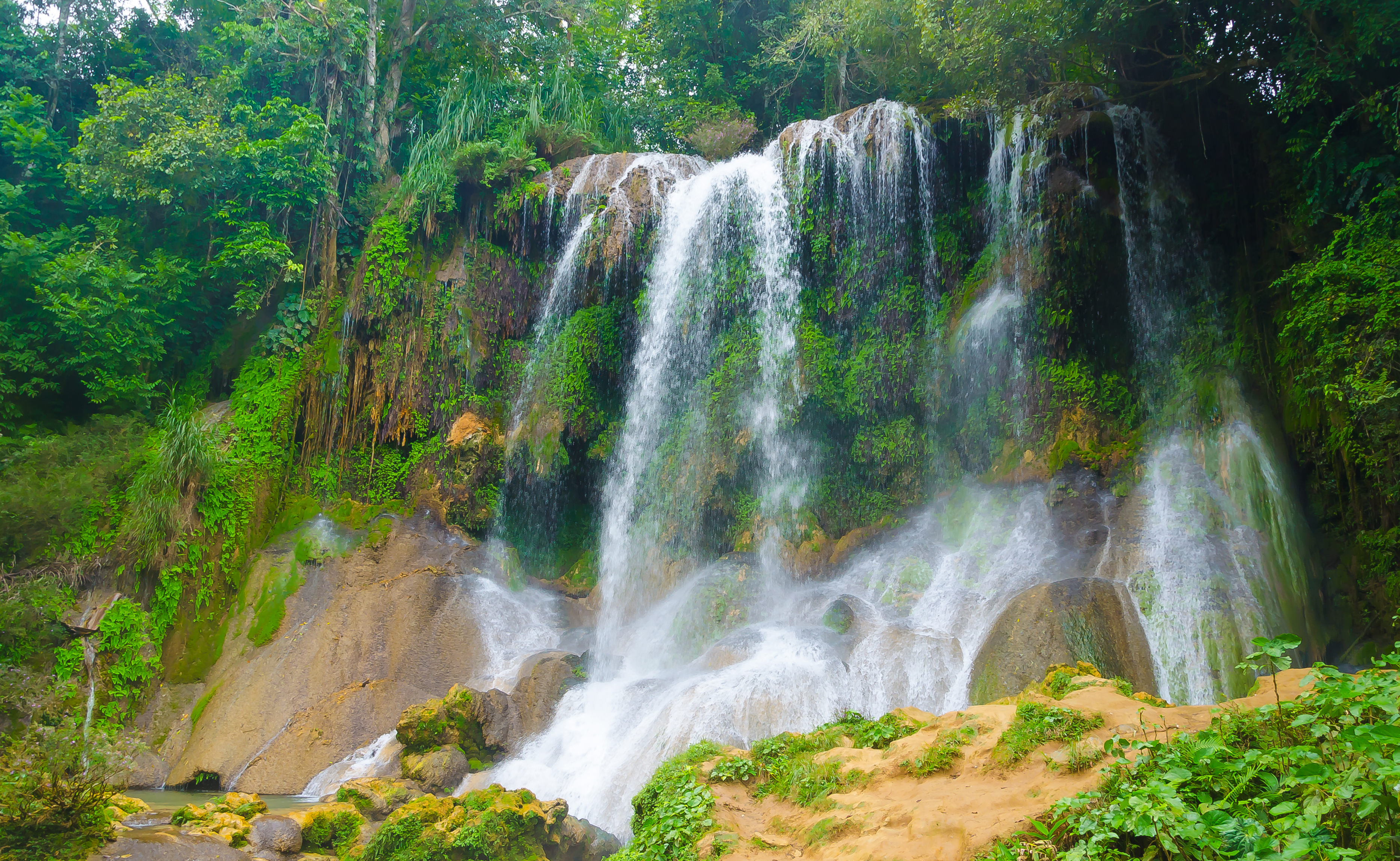Download mobile wallpaper Waterfalls, Waterfall, Forest, Earth, Tropical for free.
