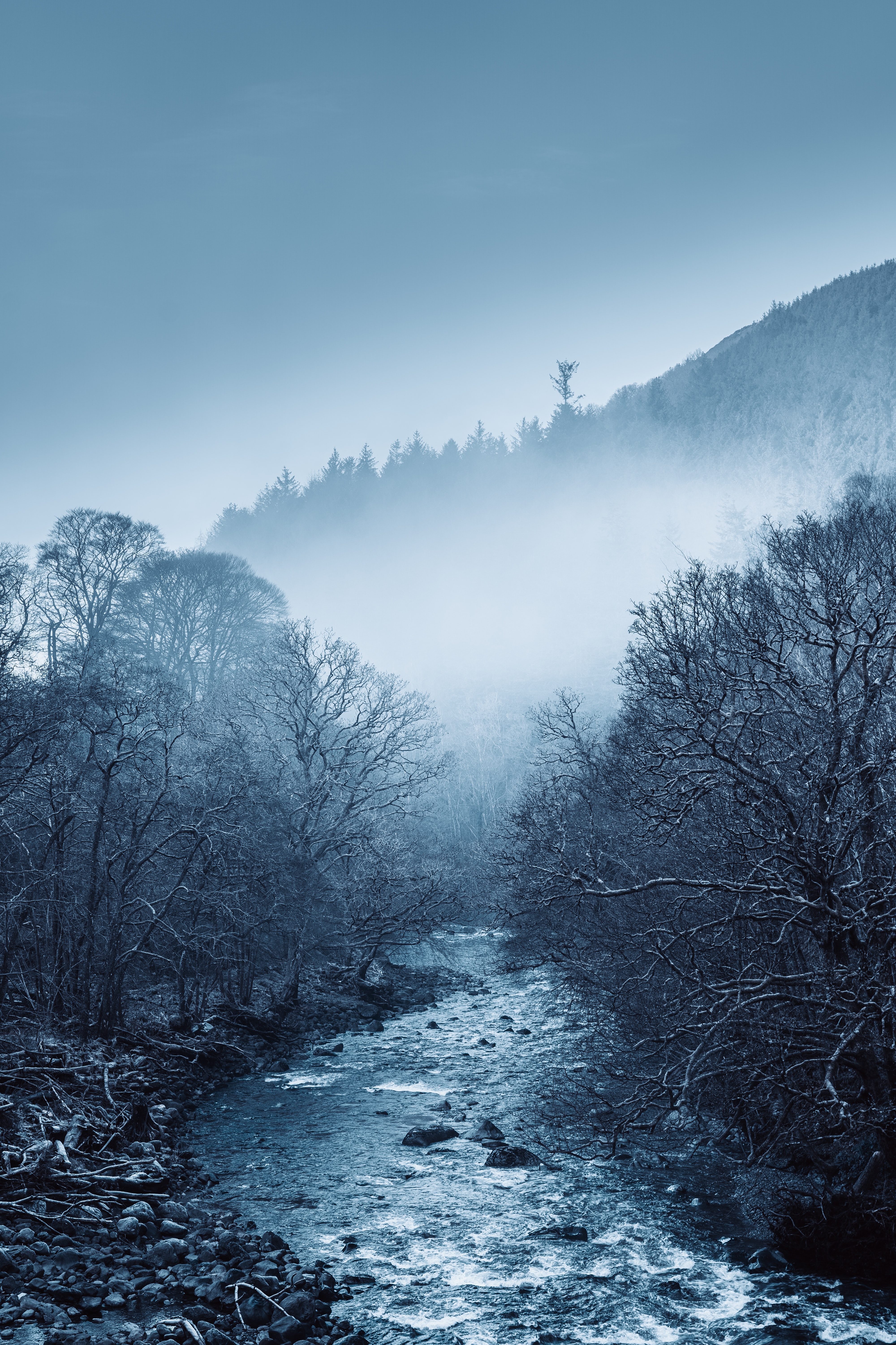 Download mobile wallpaper Fog, Trees, Rivers, Nature for free.