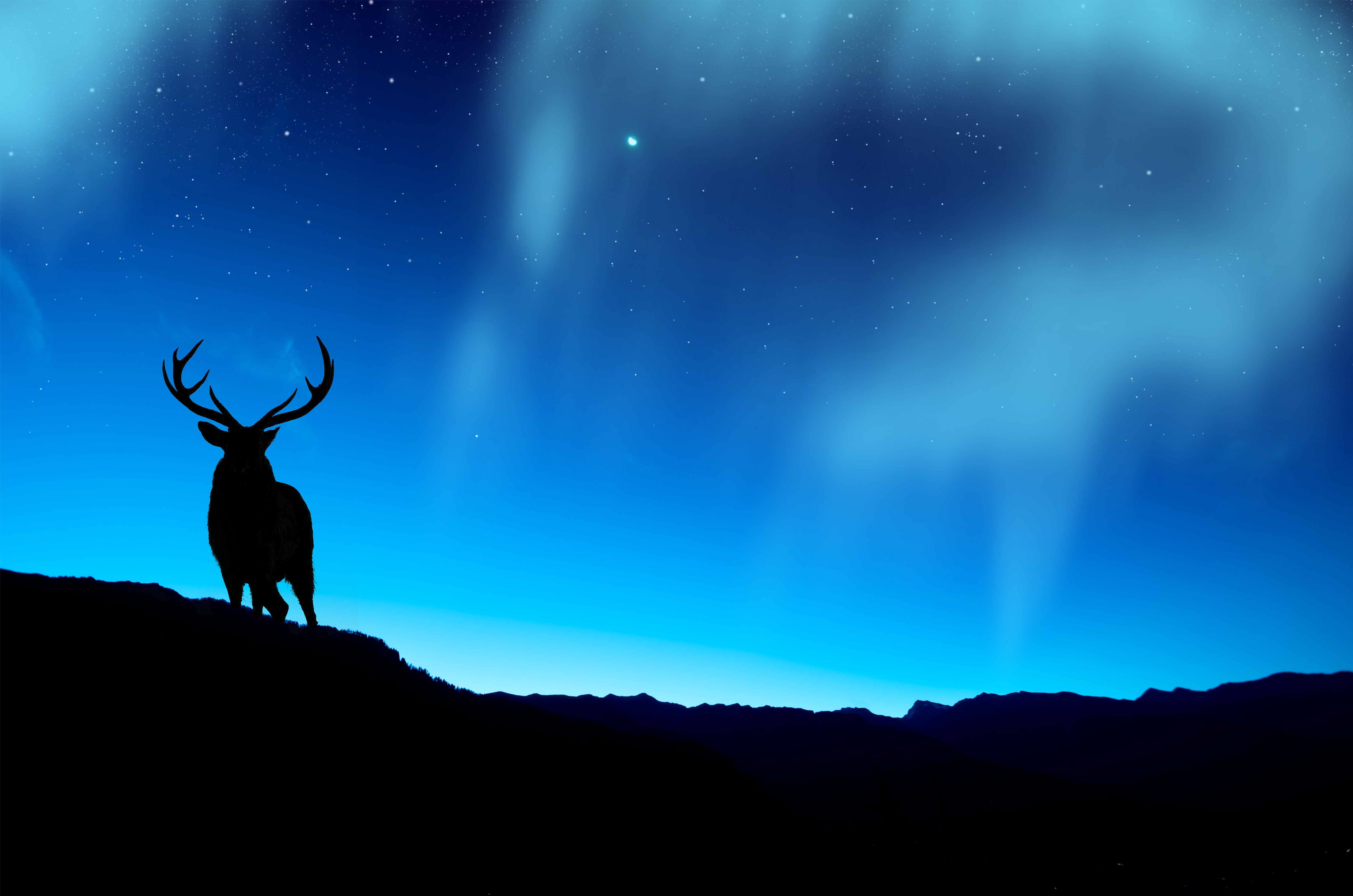 Free download wallpaper Animal, Deer on your PC desktop