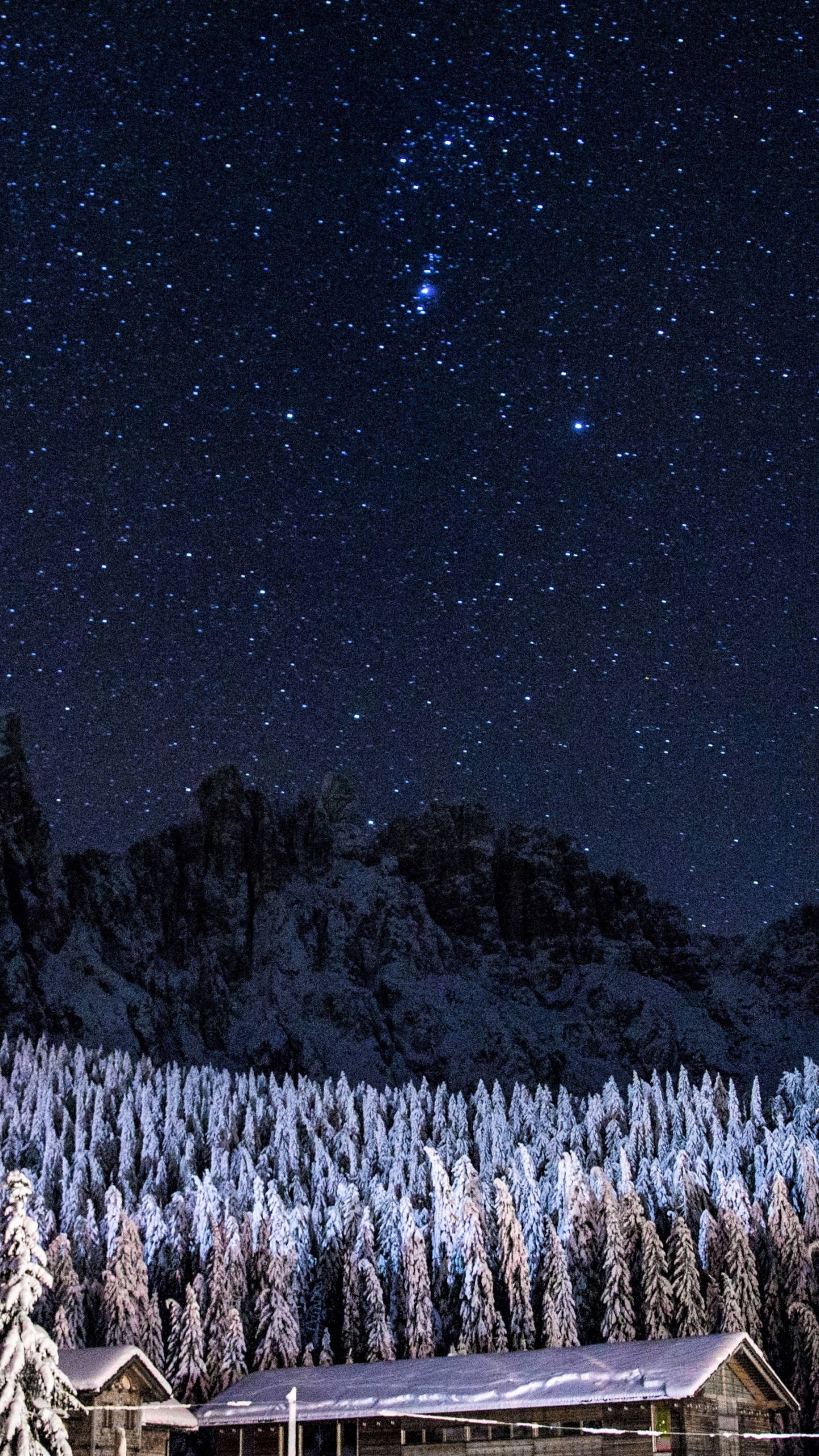 Download mobile wallpaper Winter, Sky, Stars, Night, Snow, Forest, Starry Sky, Earth, Photography for free.