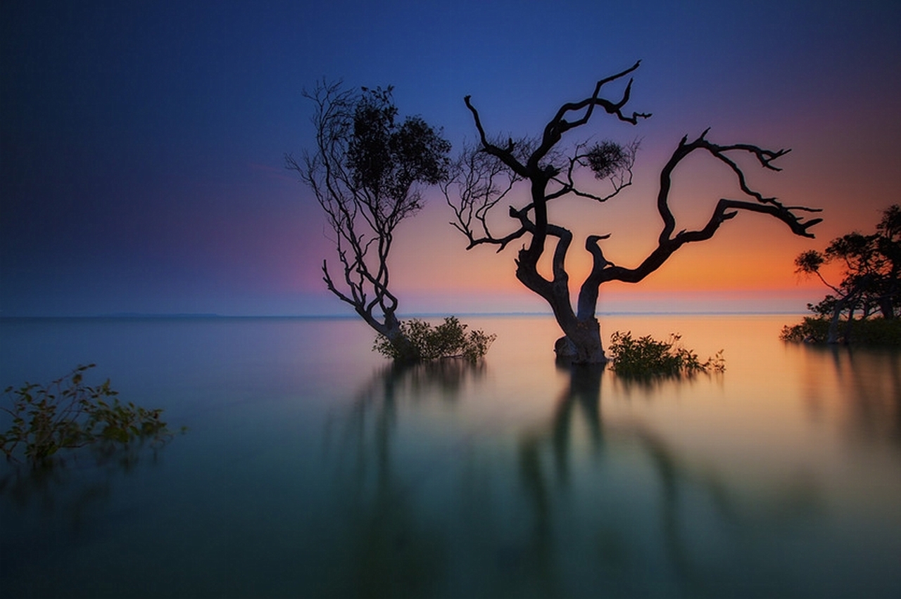 Laden Sie das See, Baum, Sonnenuntergang, Erde/natur-Bild kostenlos auf Ihren PC-Desktop herunter