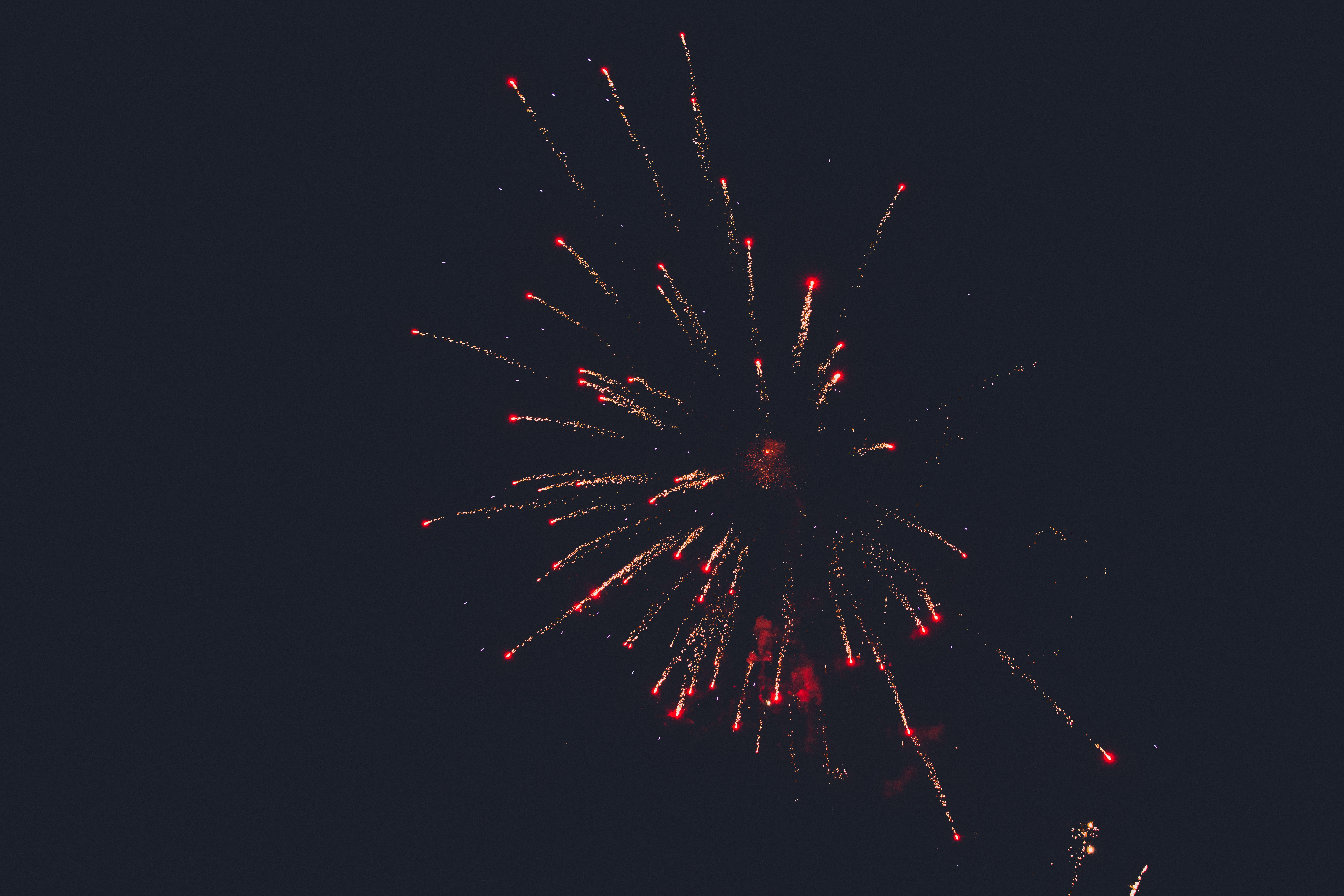 sky, night, salute, dark, fireworks, firework