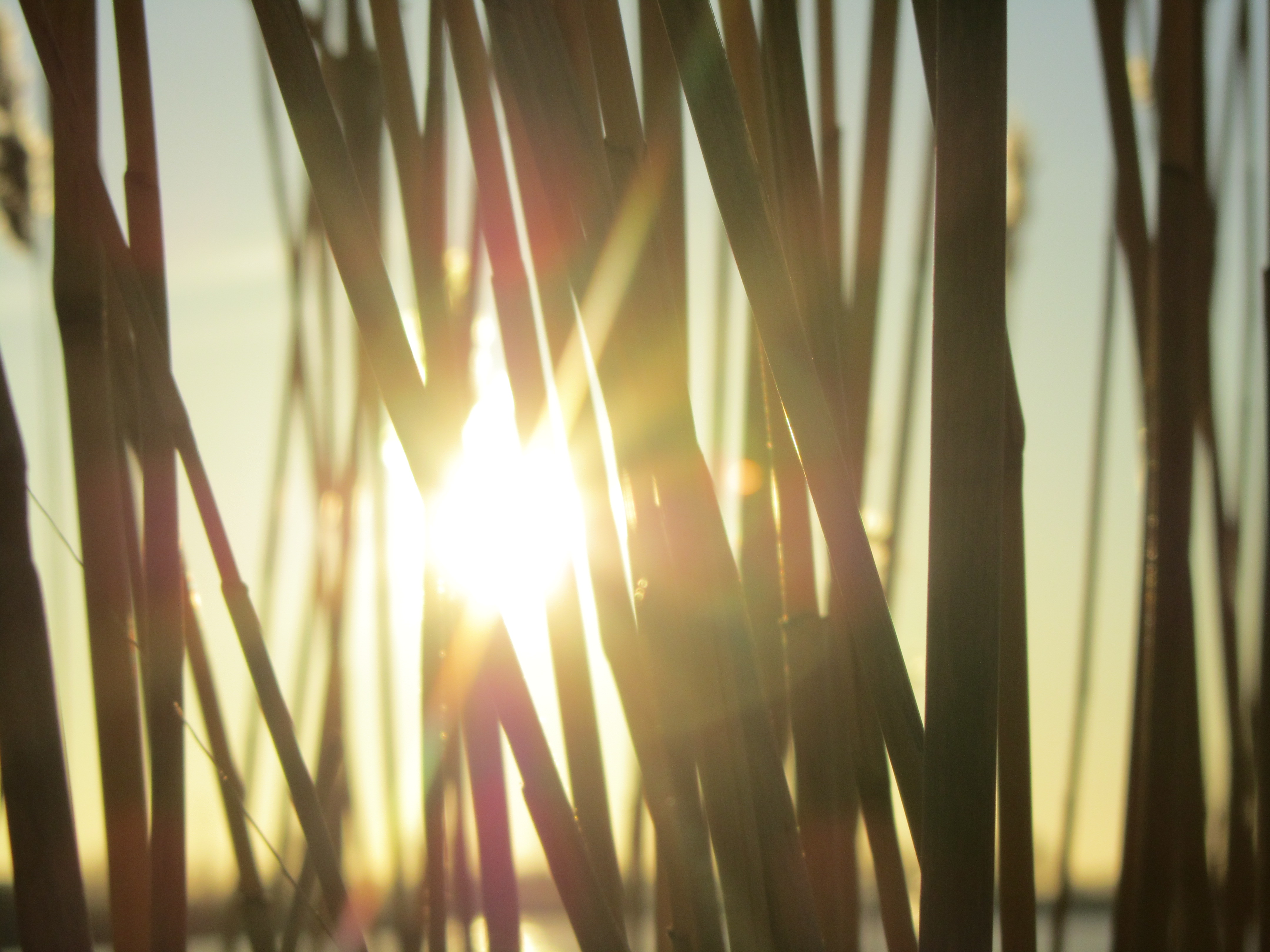 Descarga gratis la imagen Rayo De Sol, Tierra/naturaleza en el escritorio de tu PC