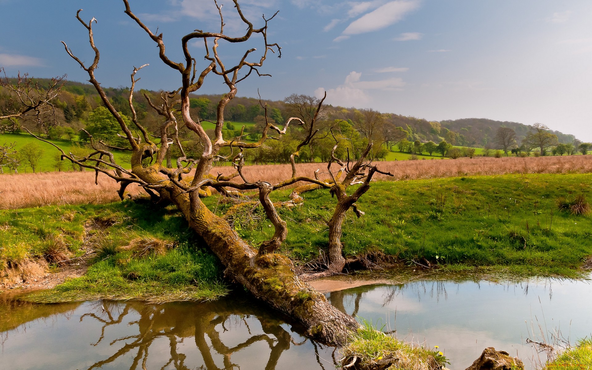 Descarga gratis la imagen Paisaje, Tierra/naturaleza en el escritorio de tu PC