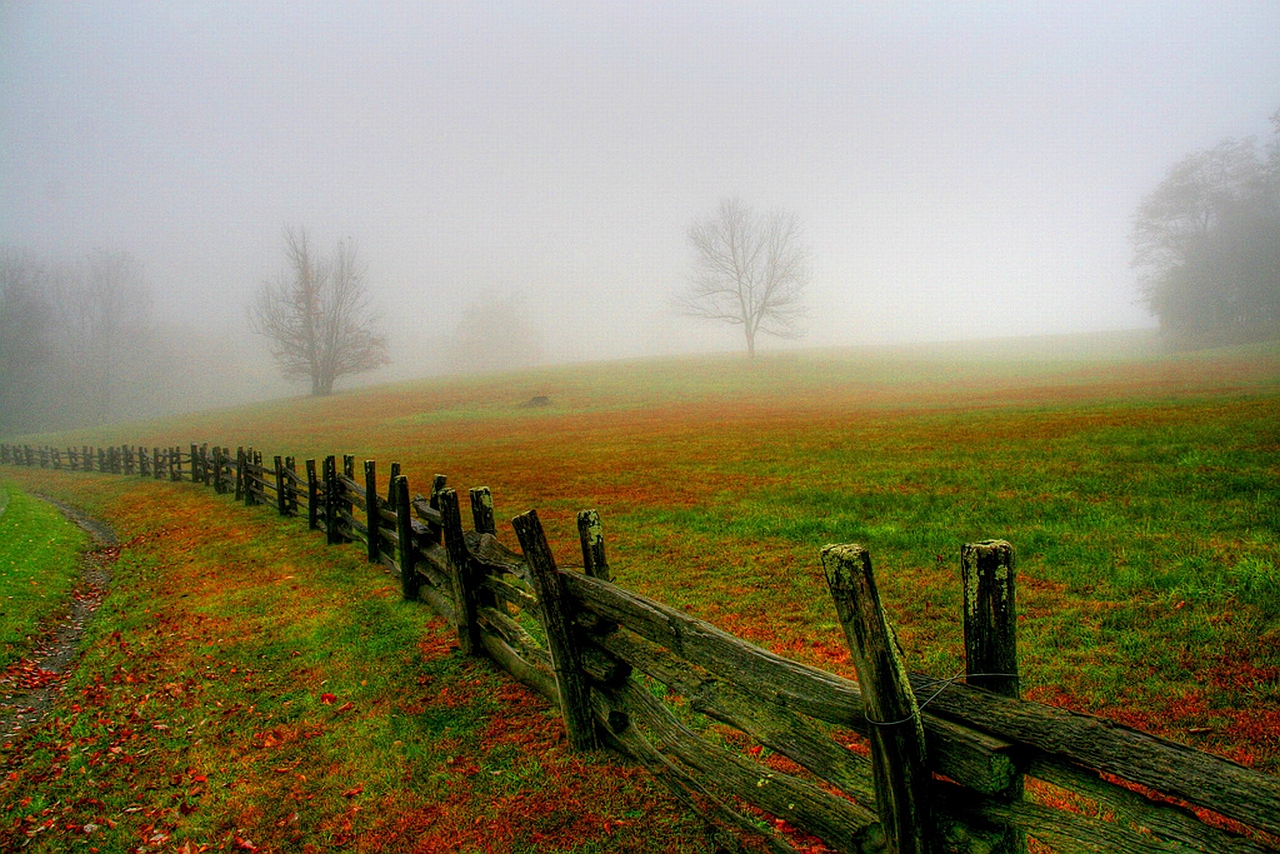 Download mobile wallpaper Fog, Fence, Man Made for free.