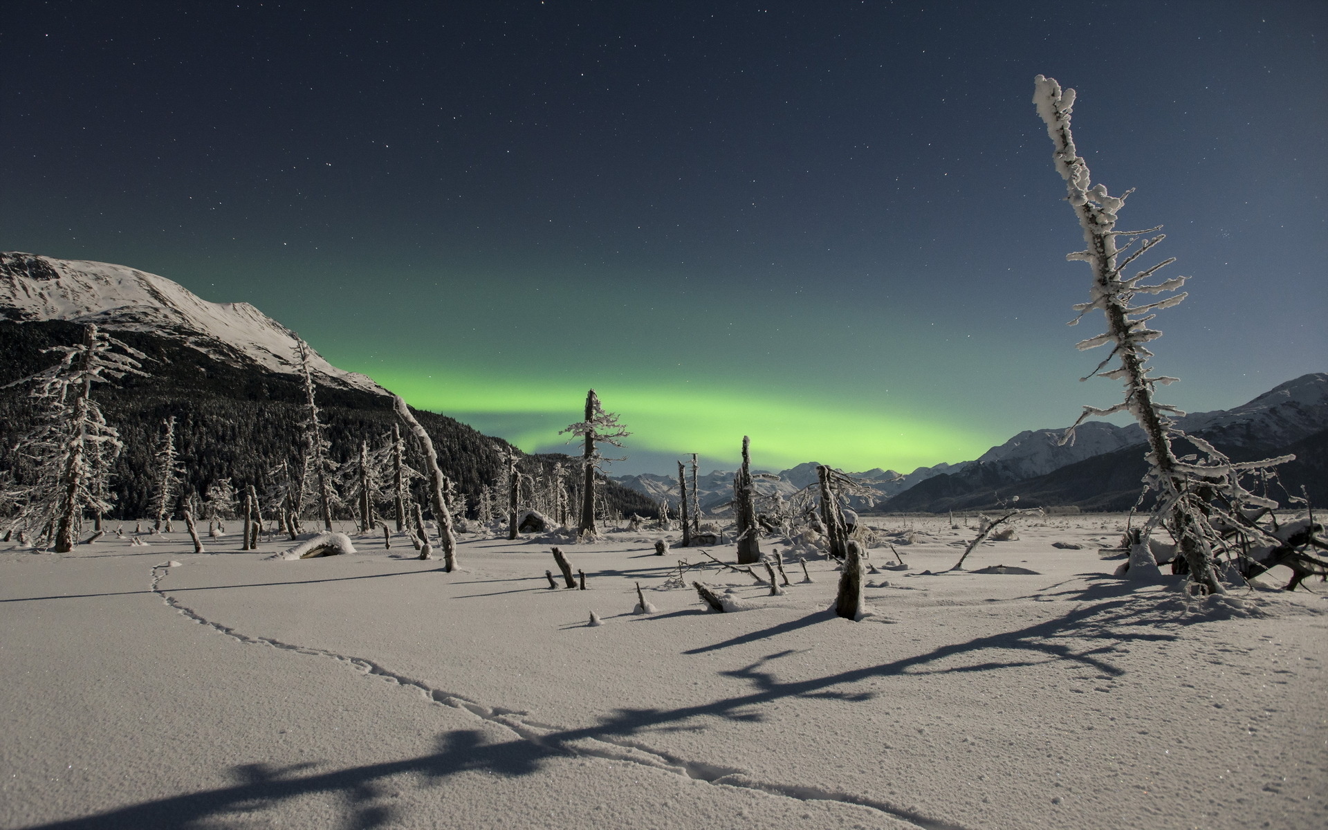 Download mobile wallpaper Winter, Earth, Aurora Borealis for free.