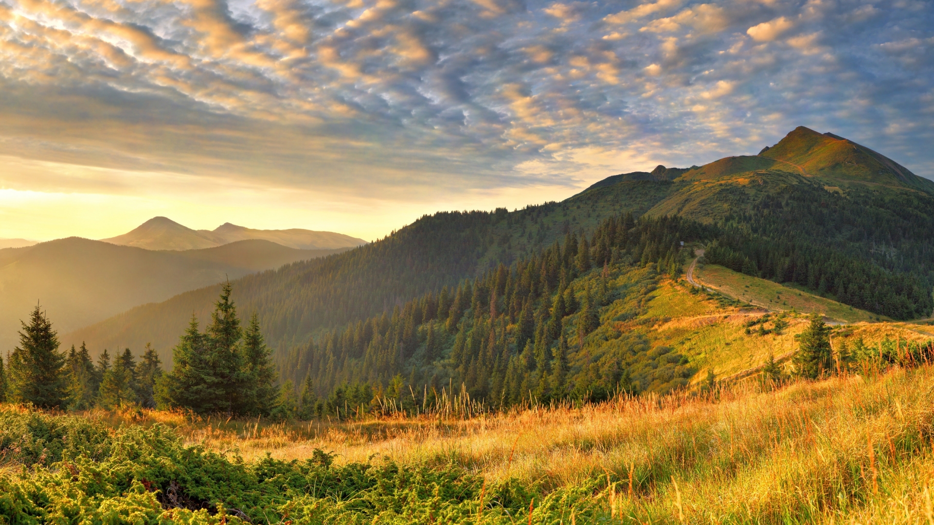 Téléchargez gratuitement l'image Paysage, Terre/nature sur le bureau de votre PC