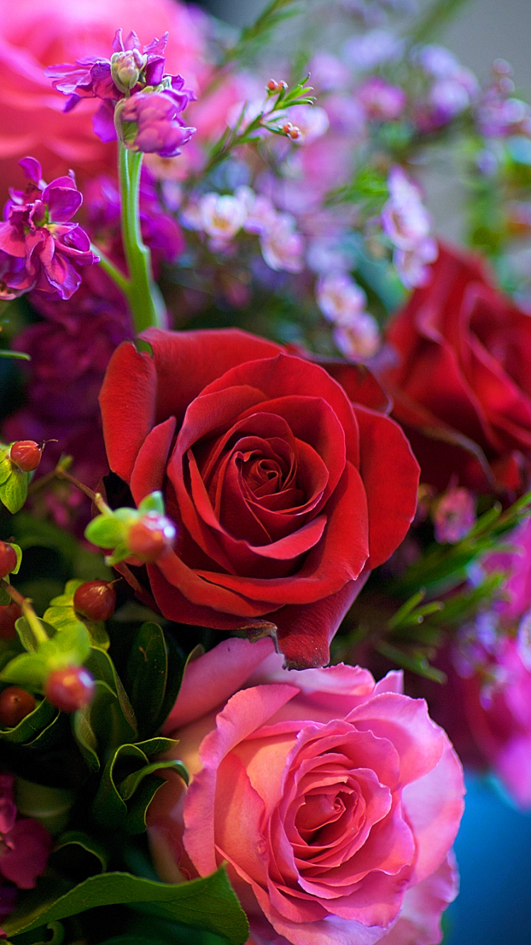 Handy-Wallpaper Blumen, Blume, Rose, Strauß, Farben, Bunt, Rote Blume, Erde/natur, Pinke Blume kostenlos herunterladen.