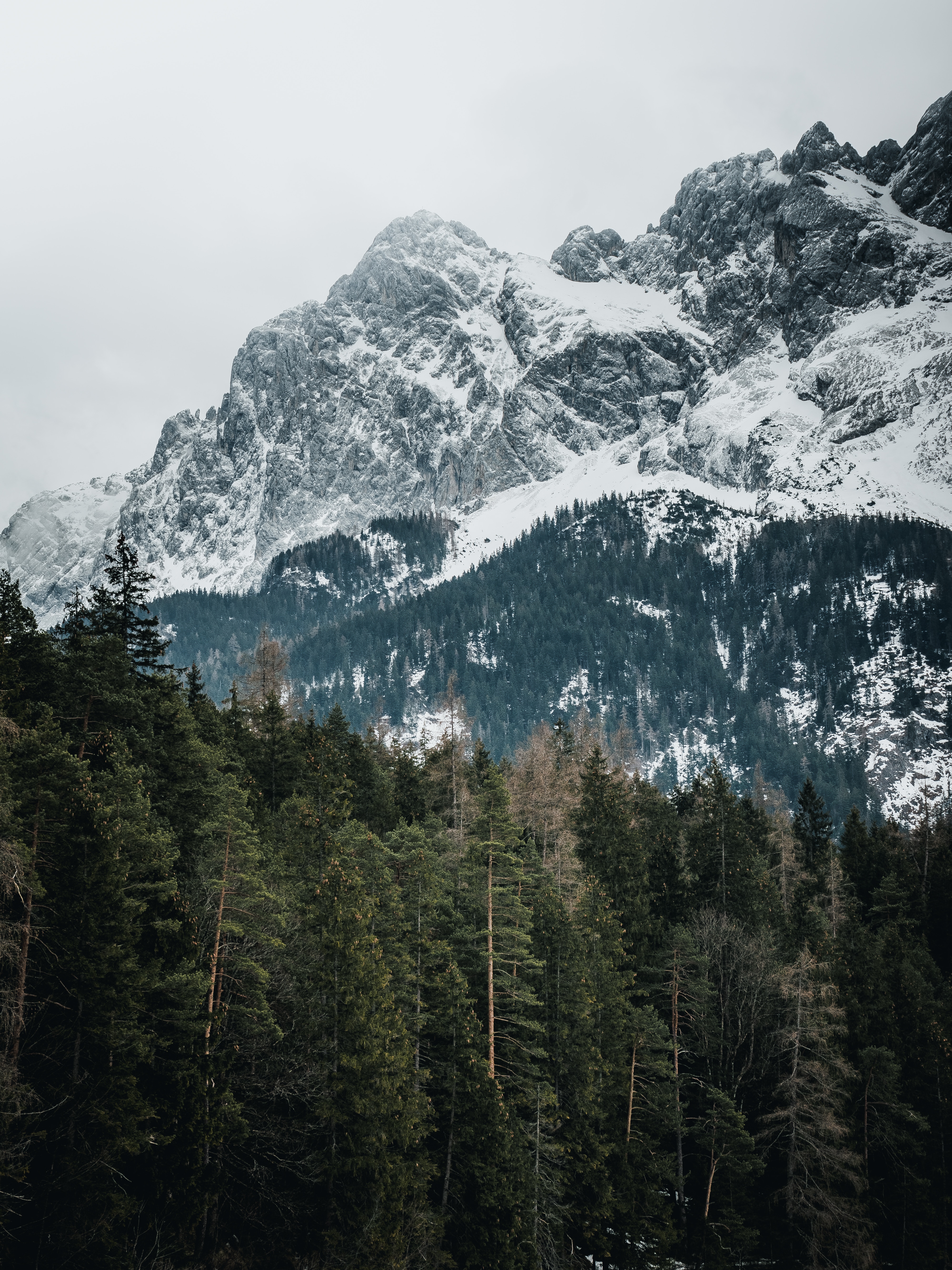 125319 Hintergrundbild herunterladen natur, bäume, mountains, oberteile, scheitelpunkt, schneebedeckt, snowbound, deutschland - Bildschirmschoner und Bilder kostenlos
