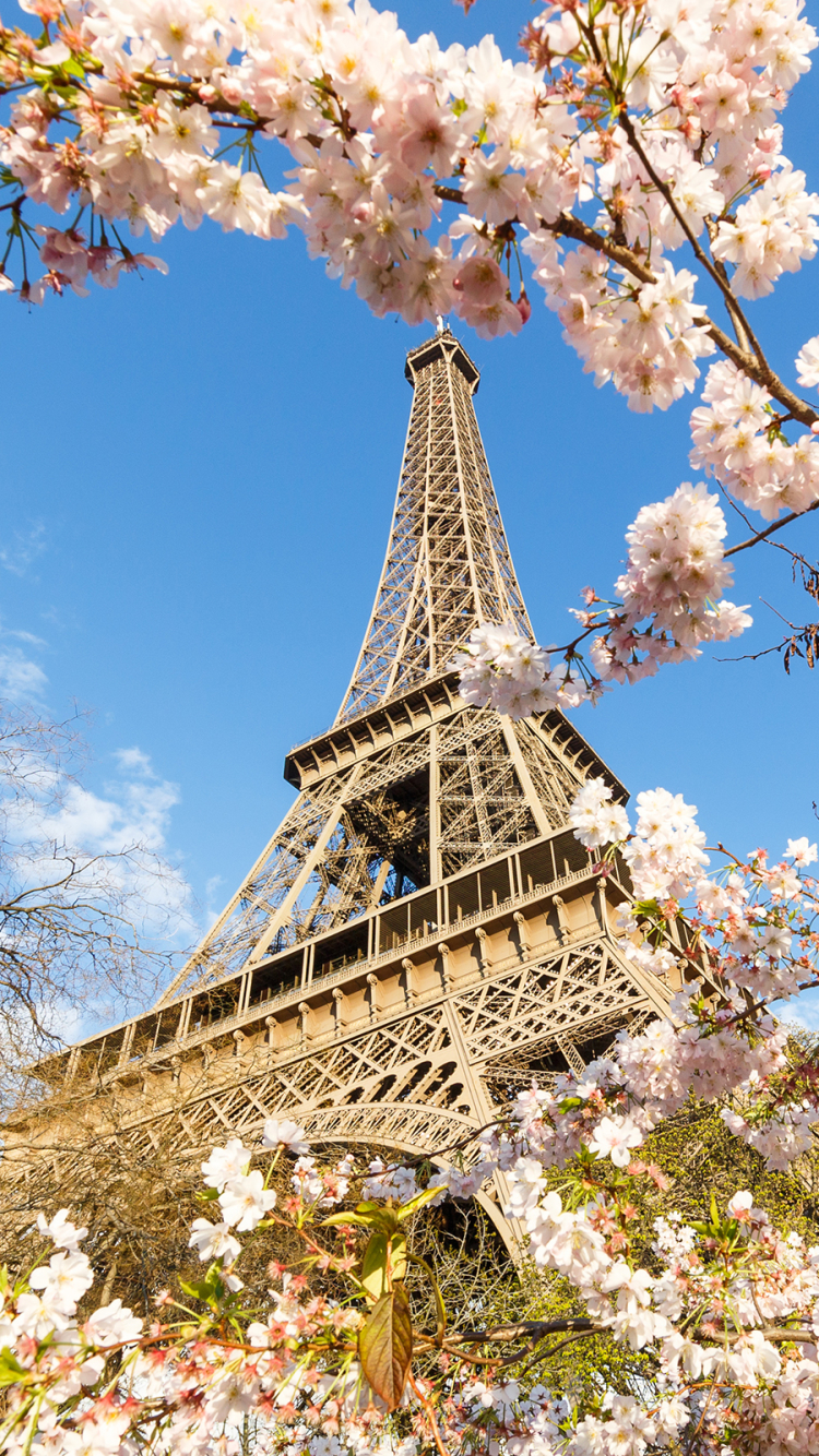 Handy-Wallpaper Paris, Eiffelturm, Frankreich, Frühling, Blüte, Monument, Monumente, Menschengemacht, Pinke Blume kostenlos herunterladen.