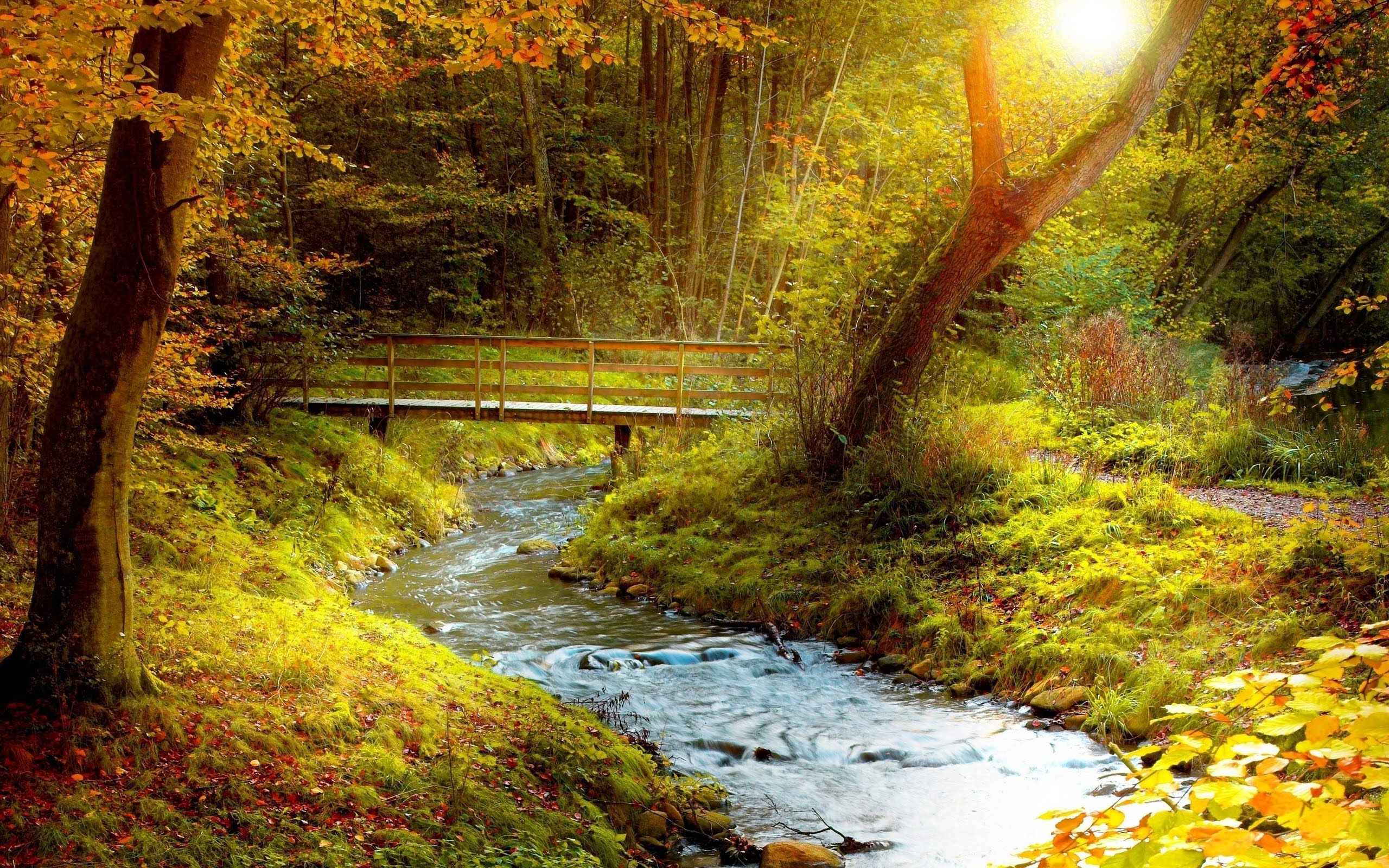 Download mobile wallpaper Bridges, Forest, Tree, Fall, Bridge, River, Man Made for free.