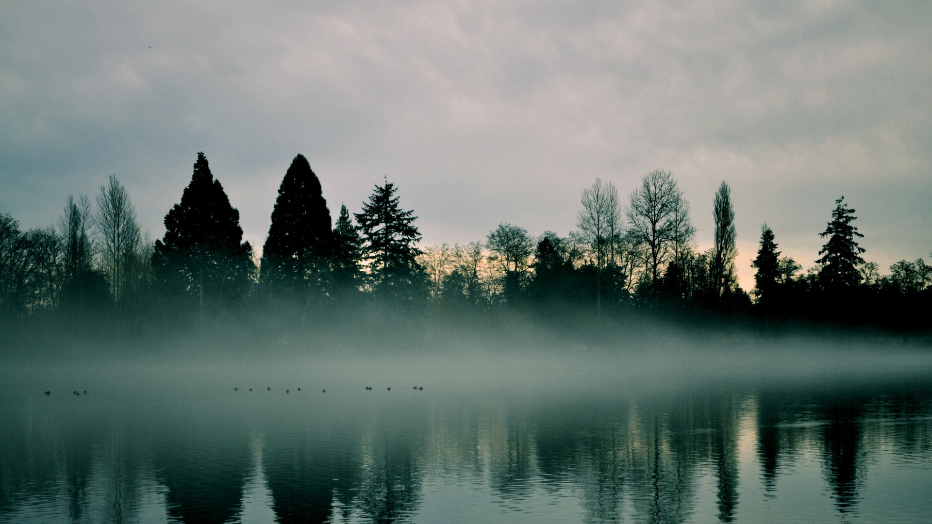 Baixe gratuitamente a imagem Paisagem, Lagos, Lago, Terra/natureza, Neblina na área de trabalho do seu PC