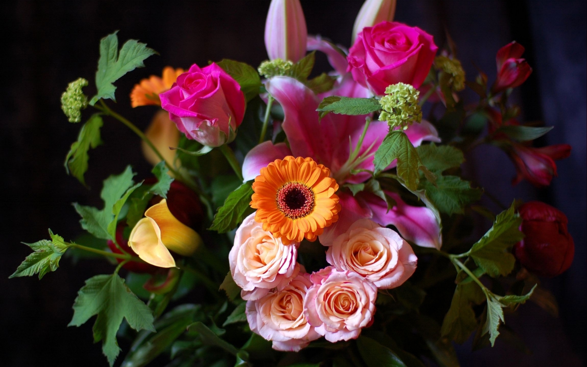 Free HD bouquets, flowers, plants