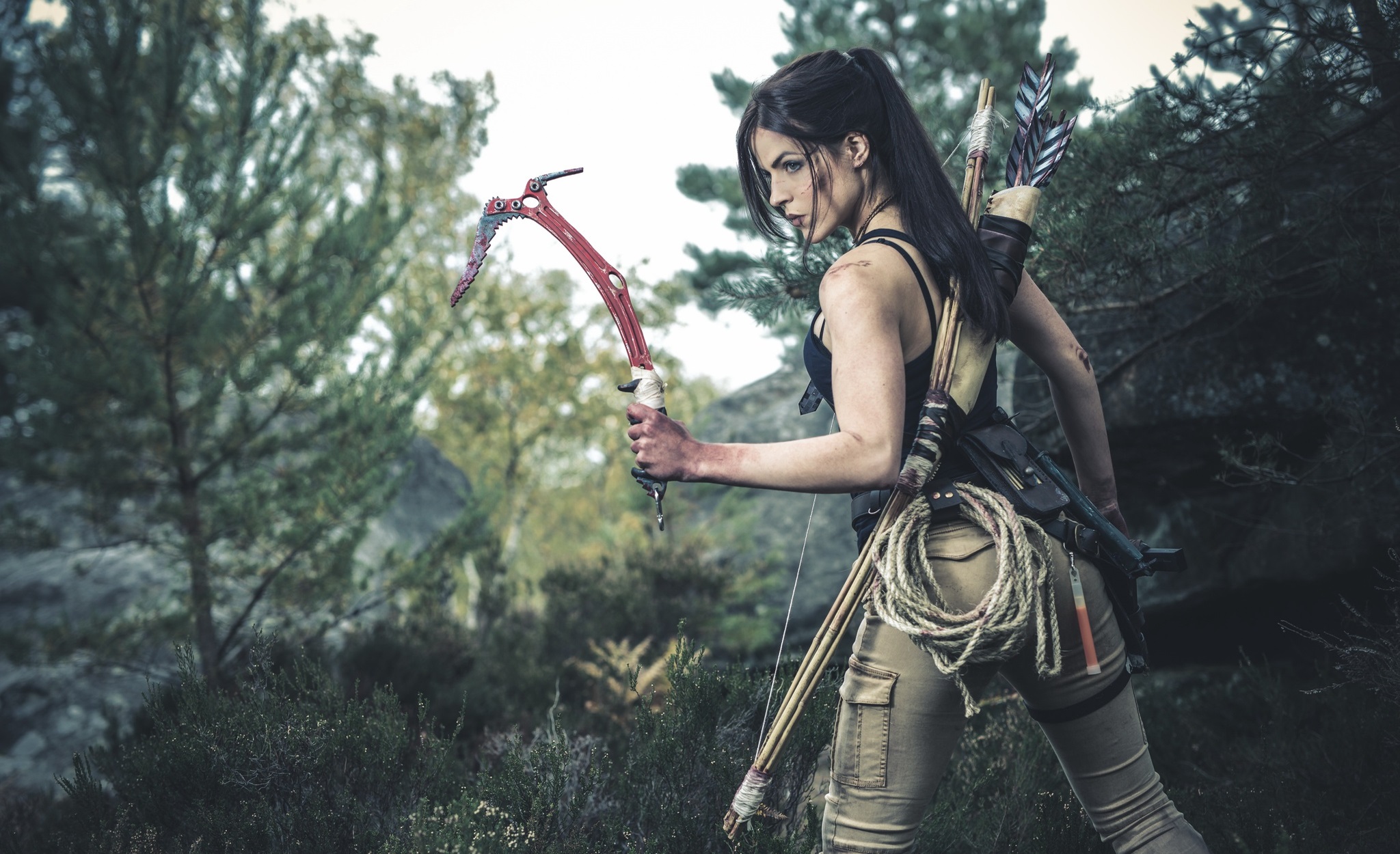 Télécharger des fonds d'écran L'ascension Du Tomb Raider HD
