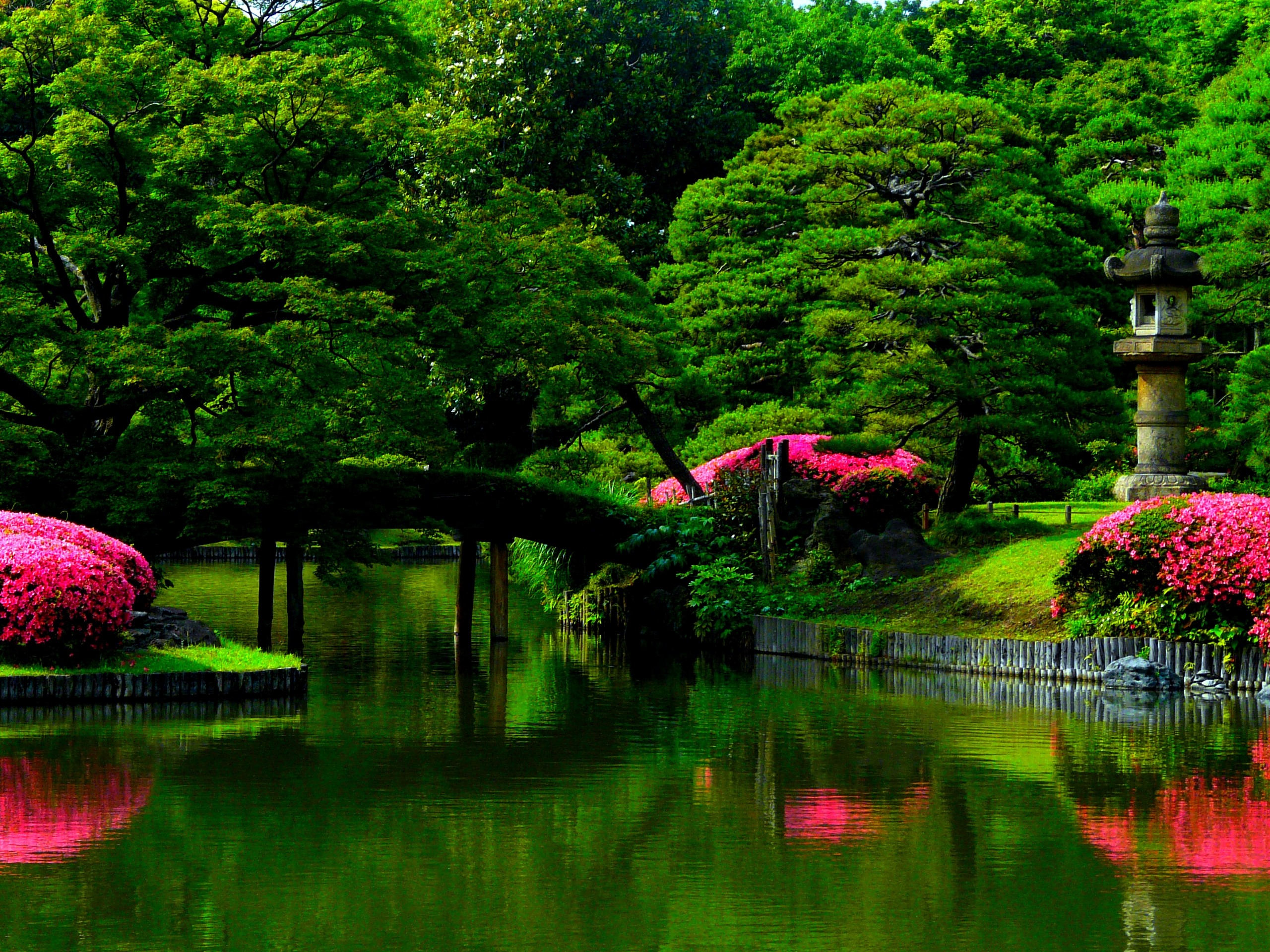 Free download wallpaper Bush, Park, Tree, Bridge, Pond, Spring, Photography, Pink Flower on your PC desktop
