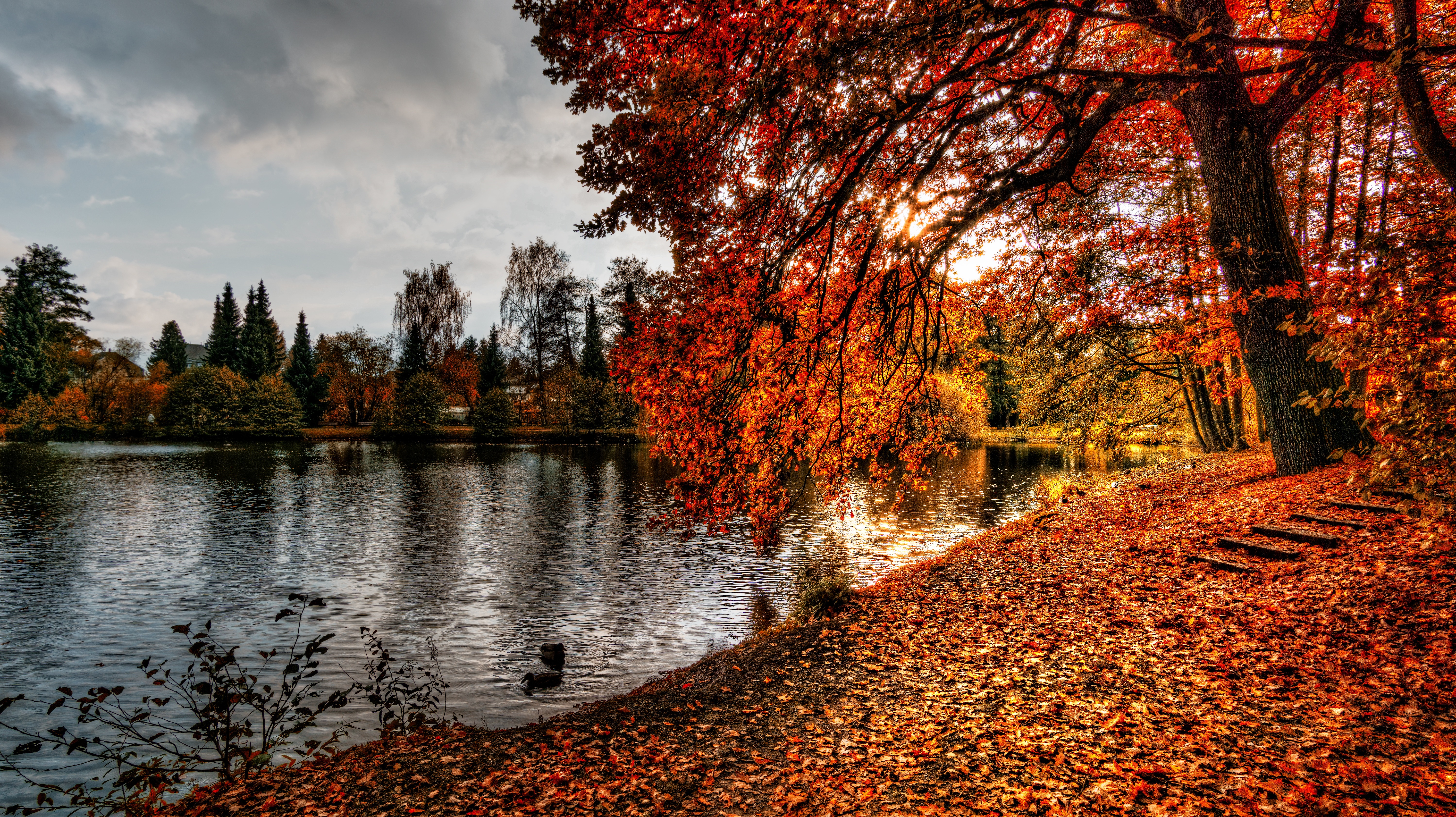 Скачать обои бесплатно Озеро, Природа, Парк, Листва, Осень картинка на рабочий стол ПК