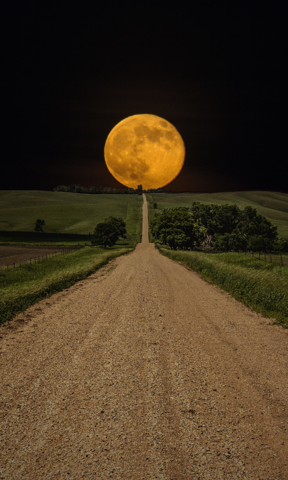 Handy-Wallpaper Landschaft, Mond, Feld, Szene, Nacht, Szenisch, Erde/natur, Aufstellen kostenlos herunterladen.