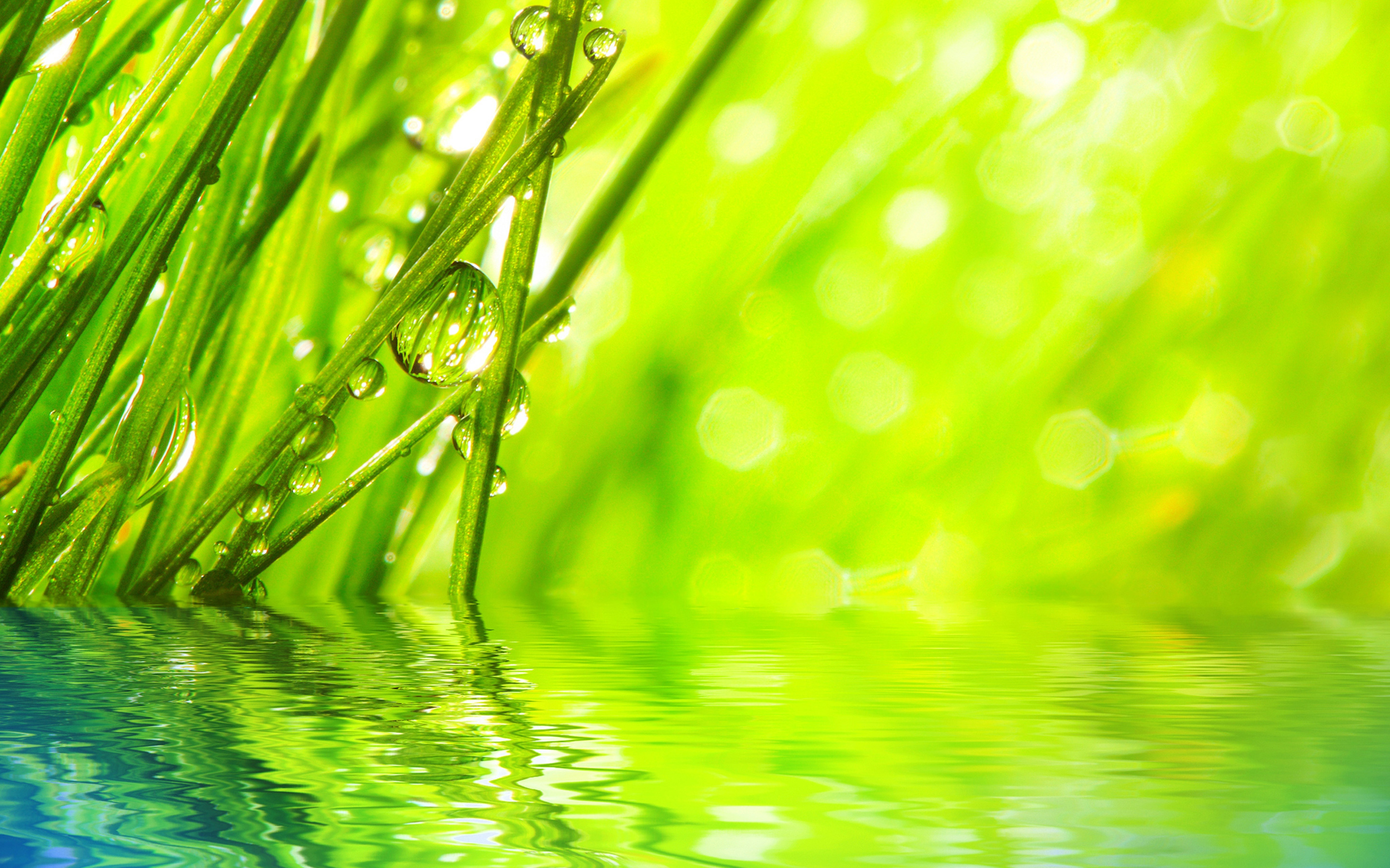 Download mobile wallpaper Water, Grass, Macro, Earth, Water Drop for free.