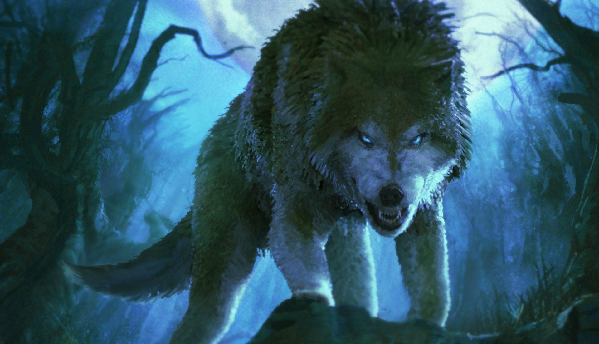 Download mobile wallpaper Fantasy, Night, Wolf, Snarl, Fantasy Animals for free.