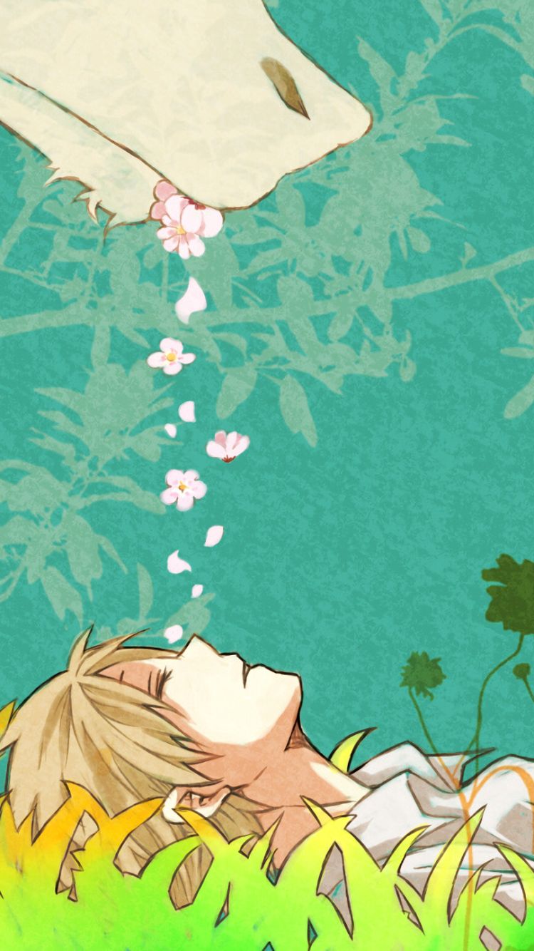 Baixar papel de parede para celular de Anime, Natsume Yuujinchou, Natsume Yûjinchô gratuito.