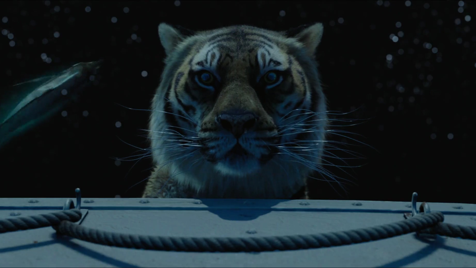 628903 Hintergrundbild herunterladen filme, life of pi: schiffbruch mit tiger, tiger - Bildschirmschoner und Bilder kostenlos