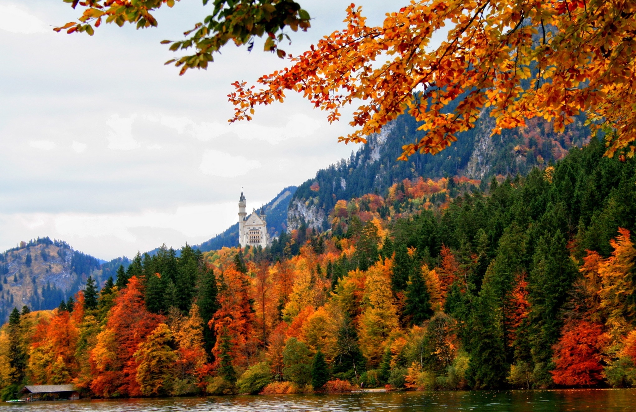 Скачать обои бесплатно Осень, Замки, Лес, Дерево, Замок Нойшванштайн, Сделано Человеком картинка на рабочий стол ПК