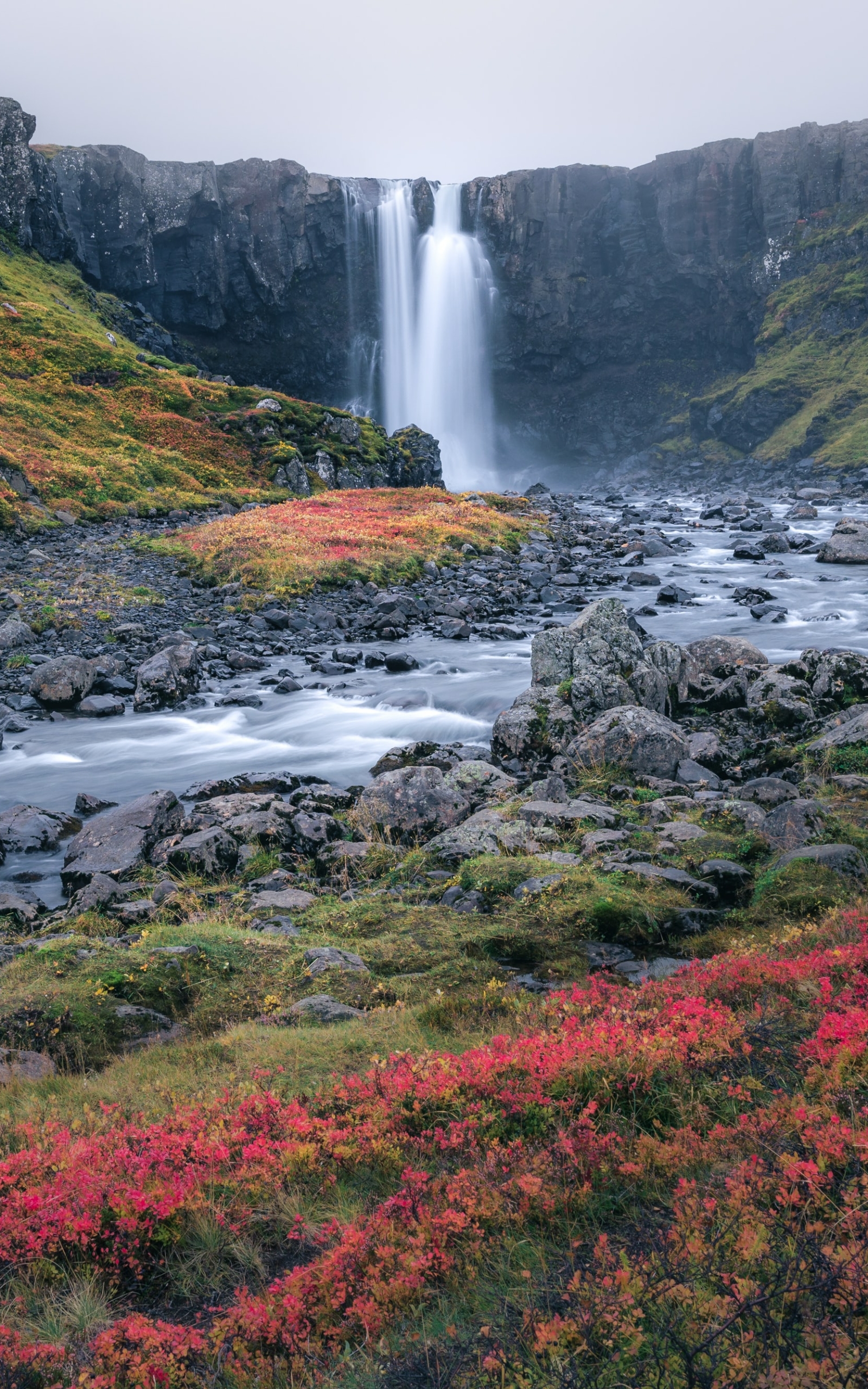 Download mobile wallpaper Waterfalls, Waterfall, Earth, Iceland, Seljalandsfoss for free.