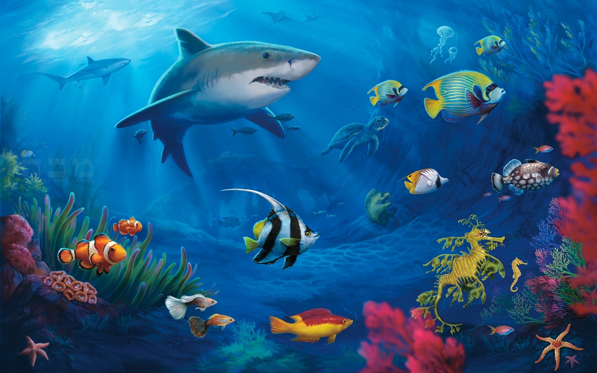 sharks, turtle, fish, animal, shark, colors, underwater