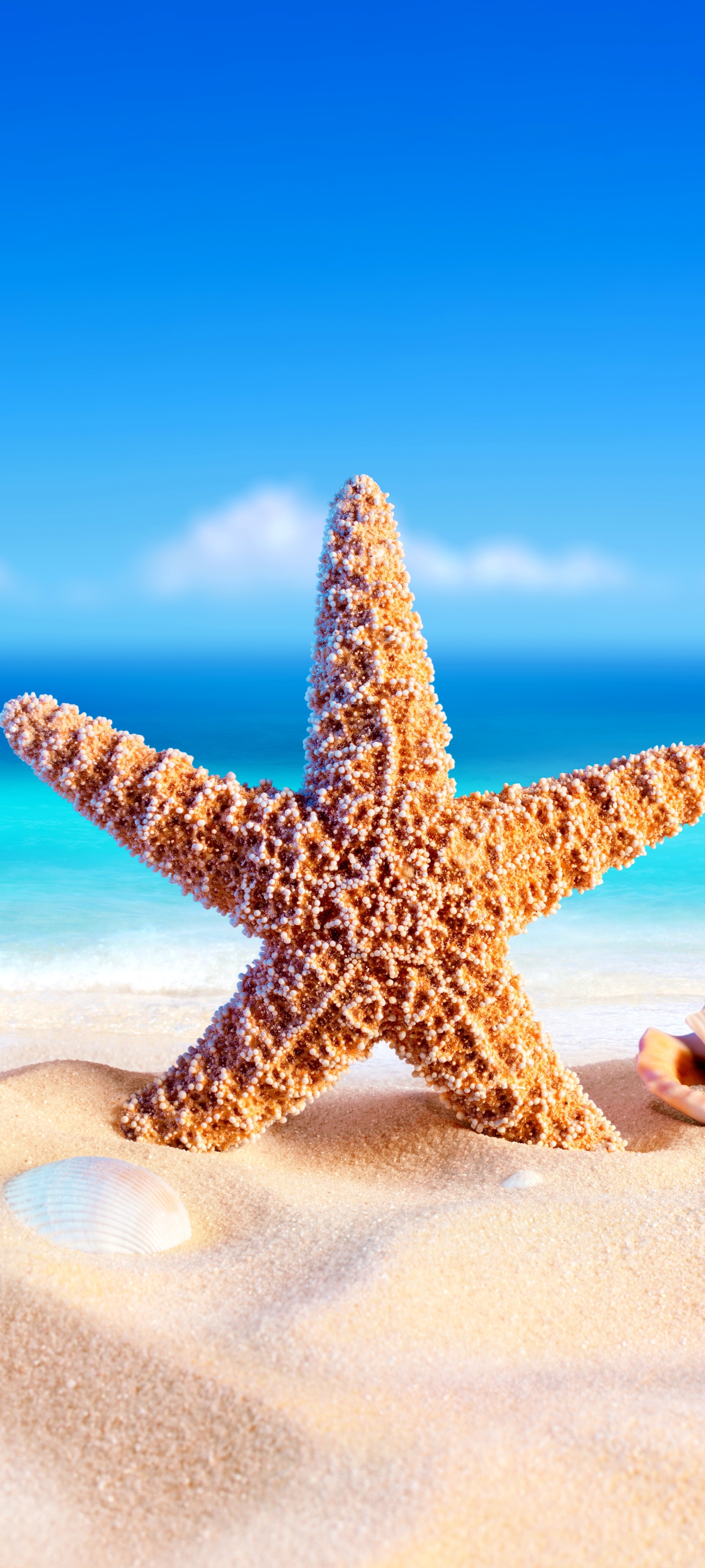 Download mobile wallpaper Sand, Summer, Starfish, Artistic, Shell for free.