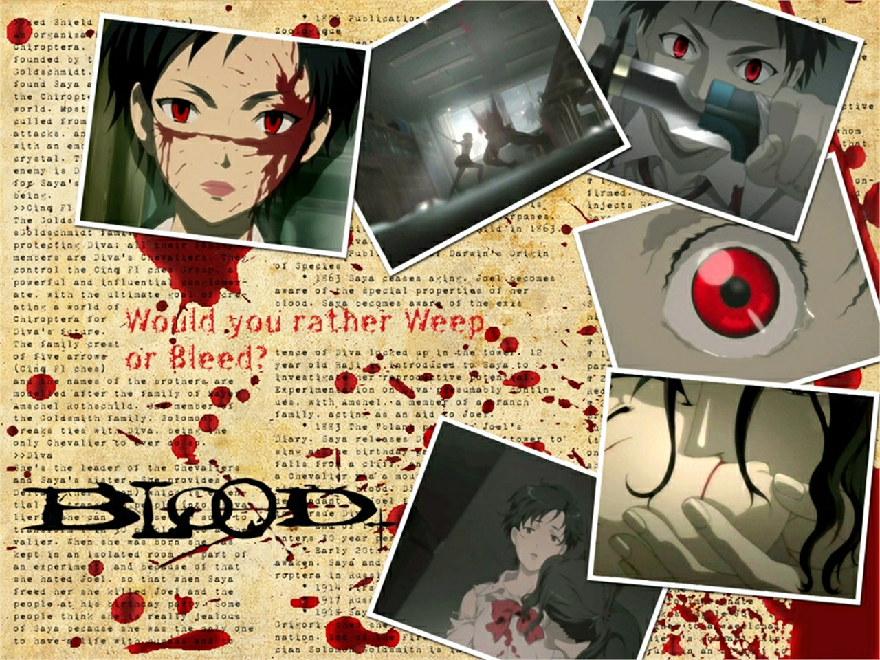 Handy-Wallpaper Animes, Blut+ kostenlos herunterladen.