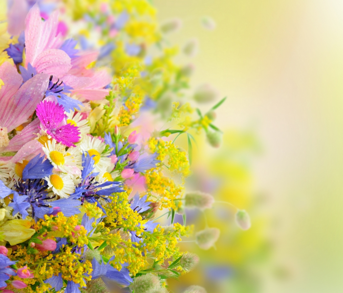 Download mobile wallpaper Flowers, Flower, Artistic, Pastel for free.