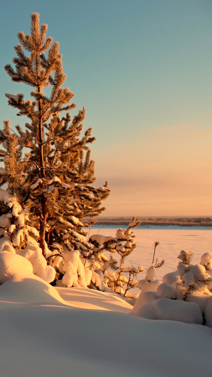 Téléchargez des papiers peints mobile Hiver, Terre/nature gratuitement.