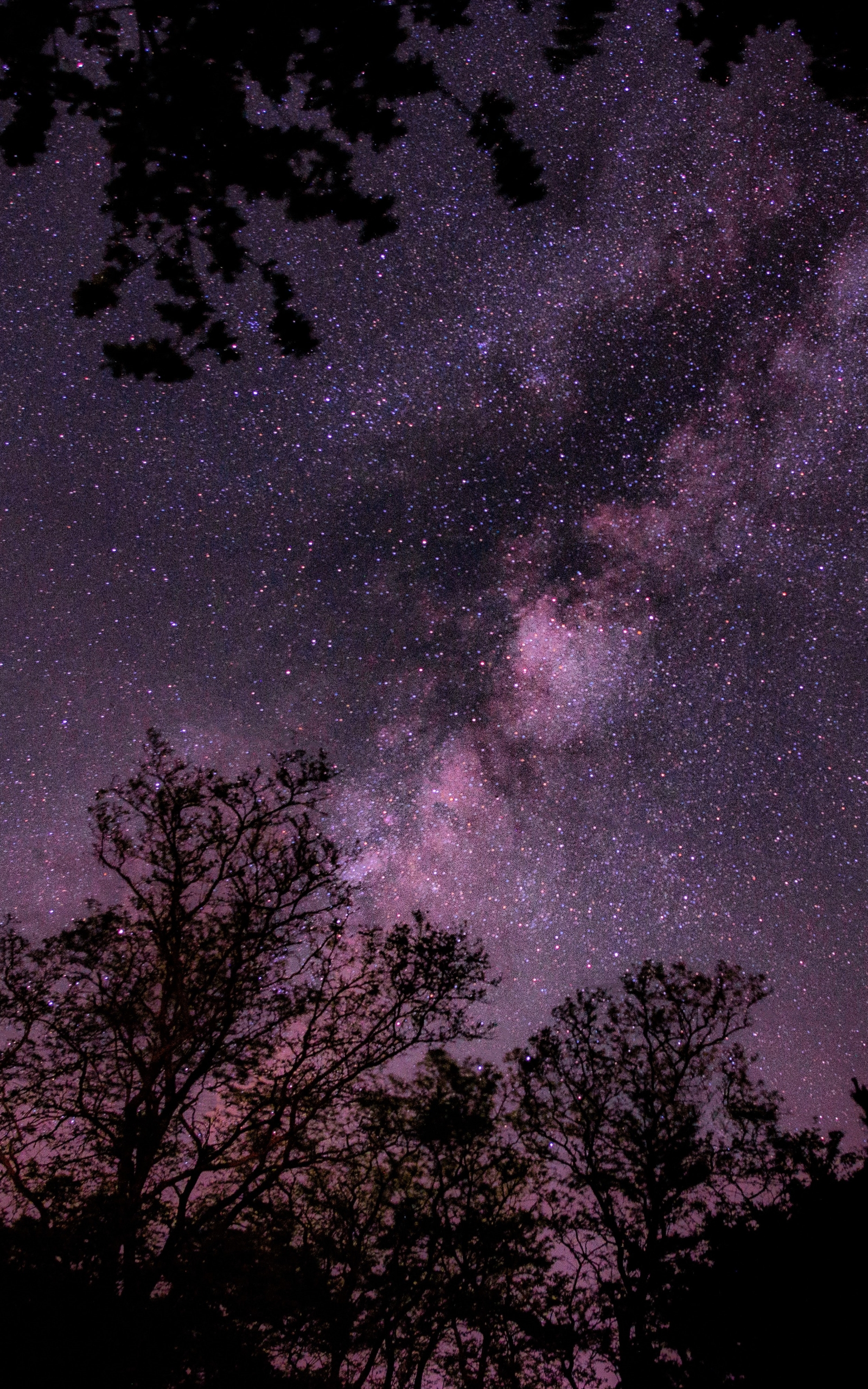 Descarga gratuita de fondo de pantalla para móvil de Cielo, Estrellas, Noche, Silueta, Árbol, Cielo Estrellado, Vía Láctea, Tierra/naturaleza.