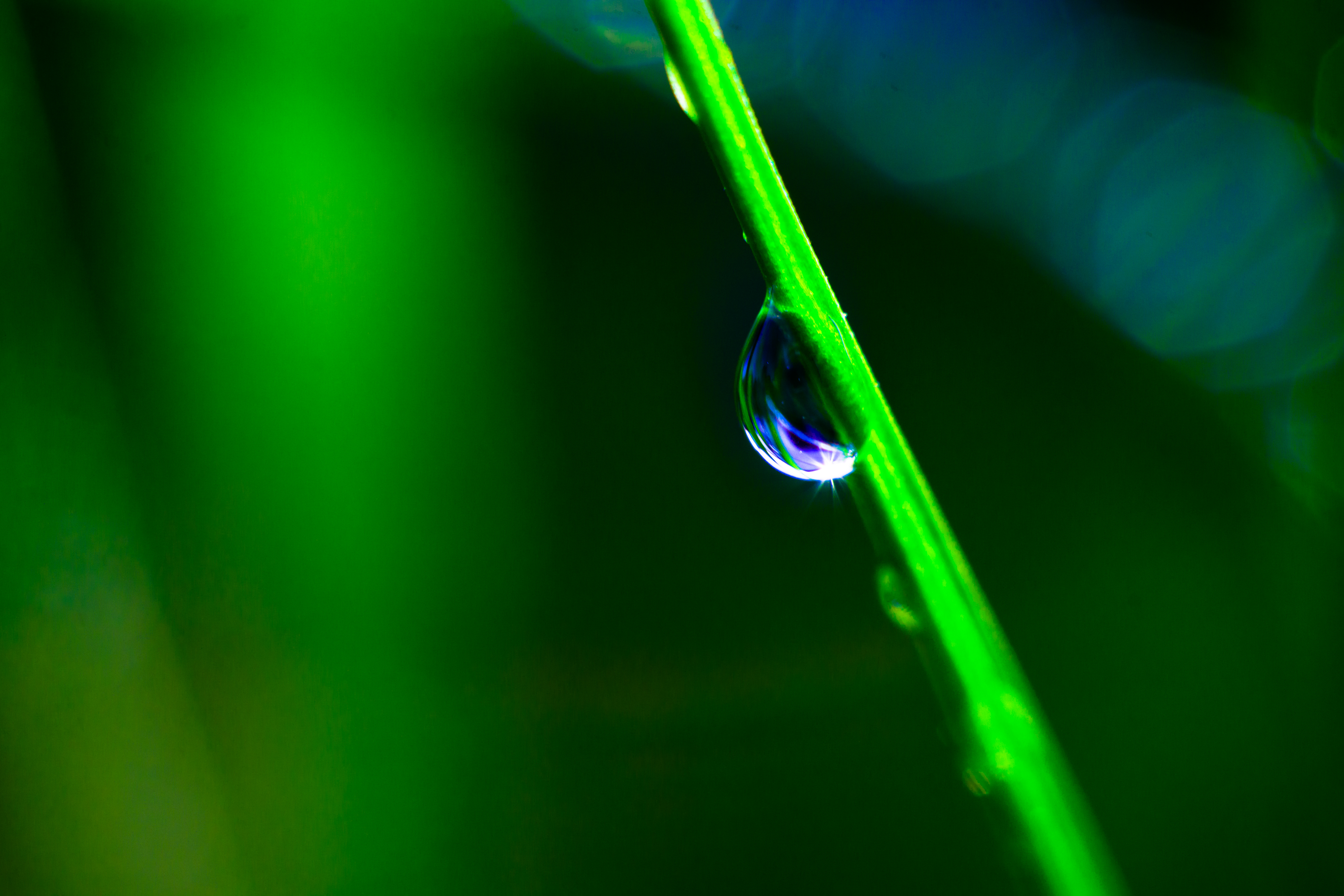 grass, green, macro, blur, smooth, drop Image for desktop