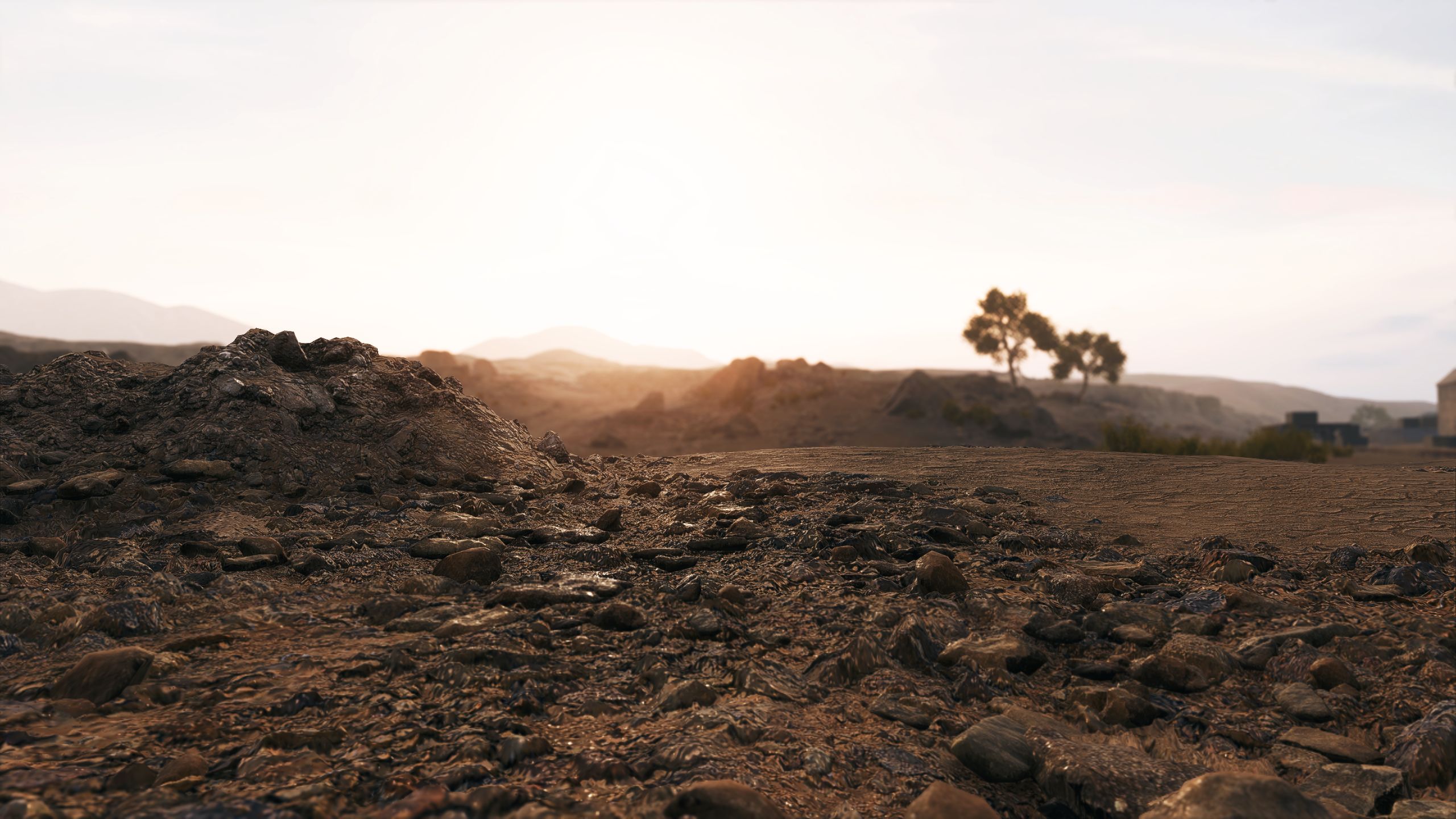 Descarga gratuita de fondo de pantalla para móvil de Cielo, Amanecer, Desierto, Campo De Batalla, Videojuego, Battlefield V.