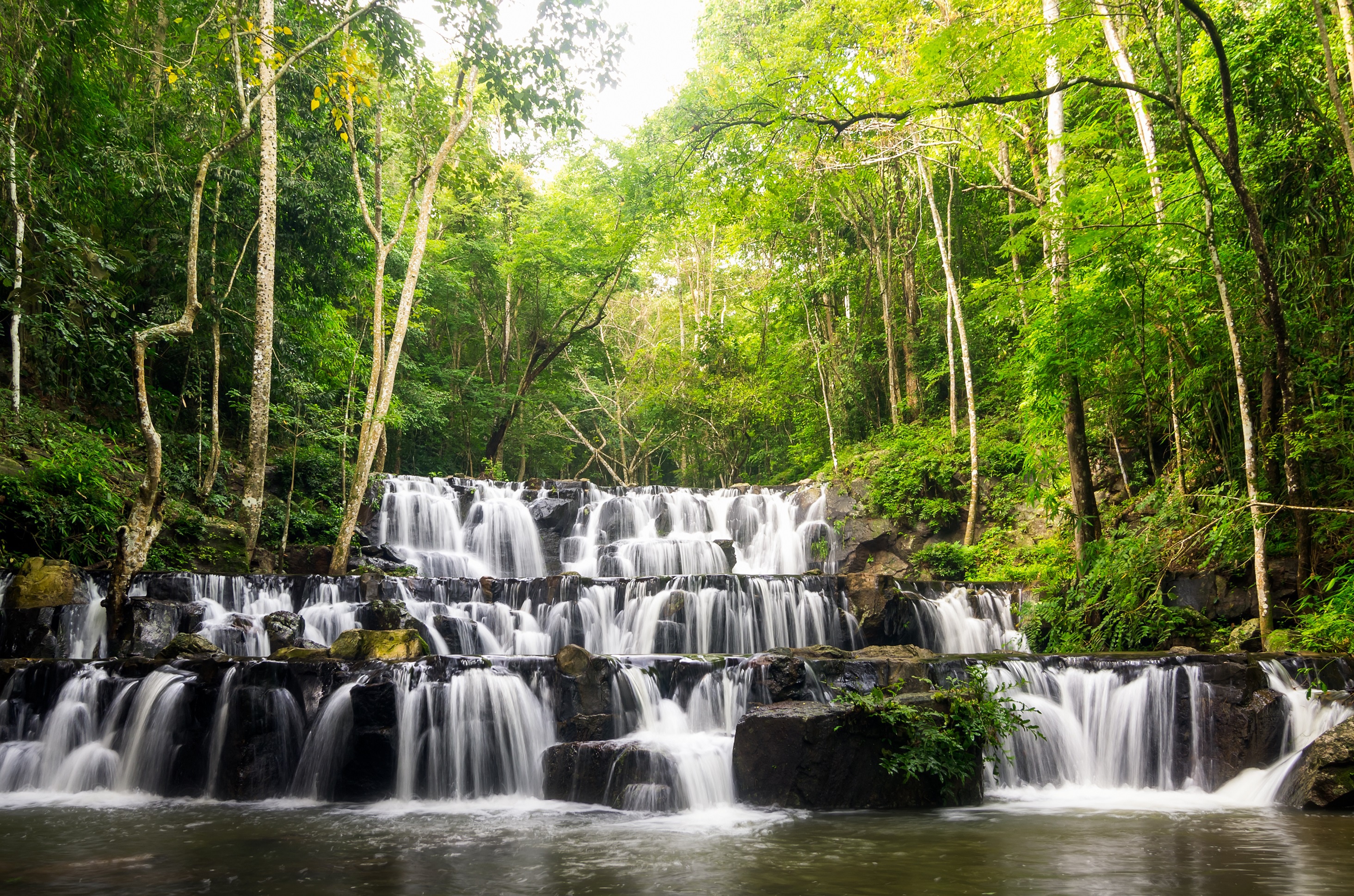 Handy-Wallpaper Natur, Wasserfälle, Wasserfall, Wald, Fluss, Erde/natur kostenlos herunterladen.