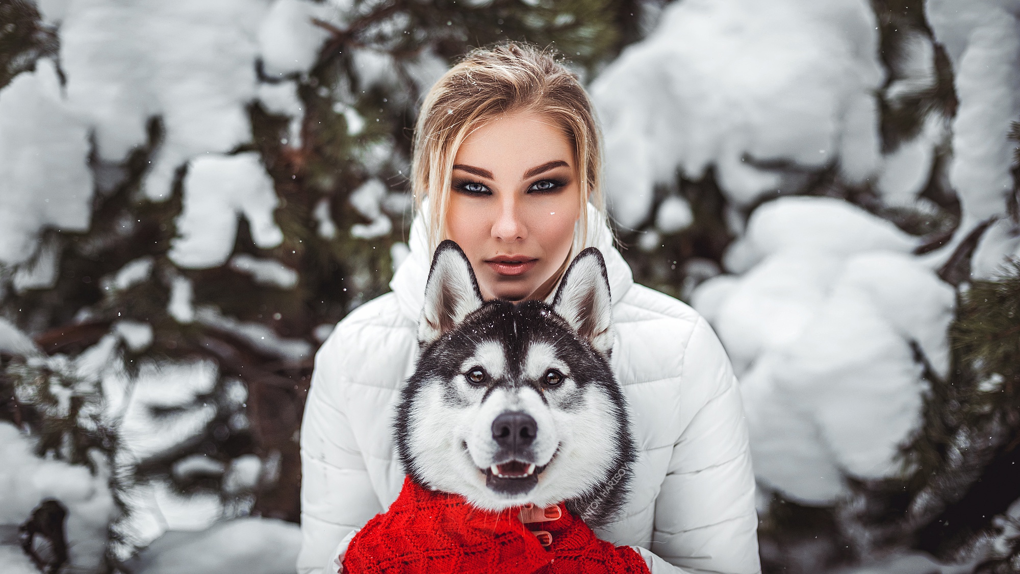 Download mobile wallpaper Winter, Dog, Blonde, Husky, Model, Women, Depth Of Field for free.