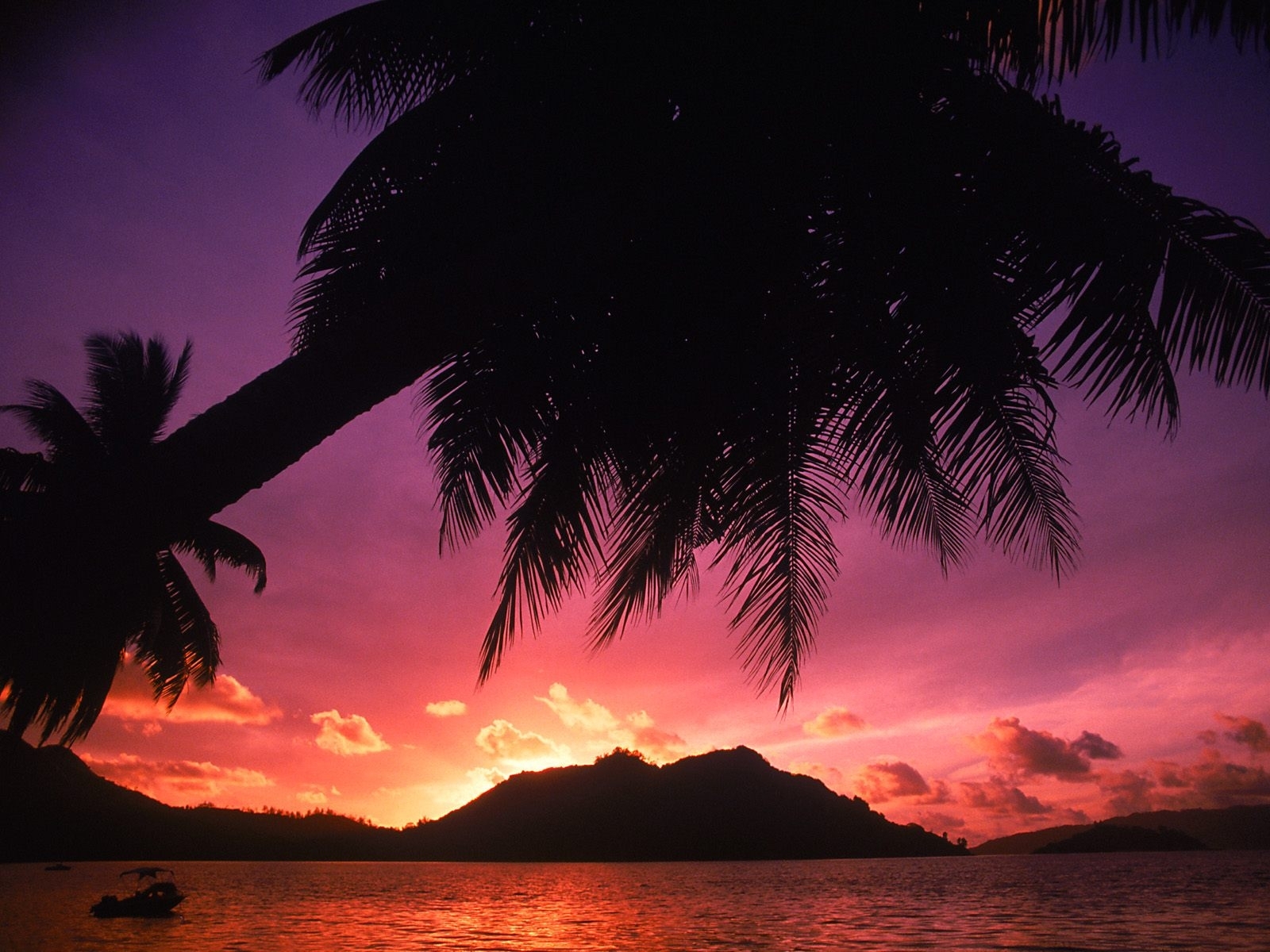 Laden Sie das Landschaft, Sunset, Sea, Palms-Bild kostenlos auf Ihren PC-Desktop herunter