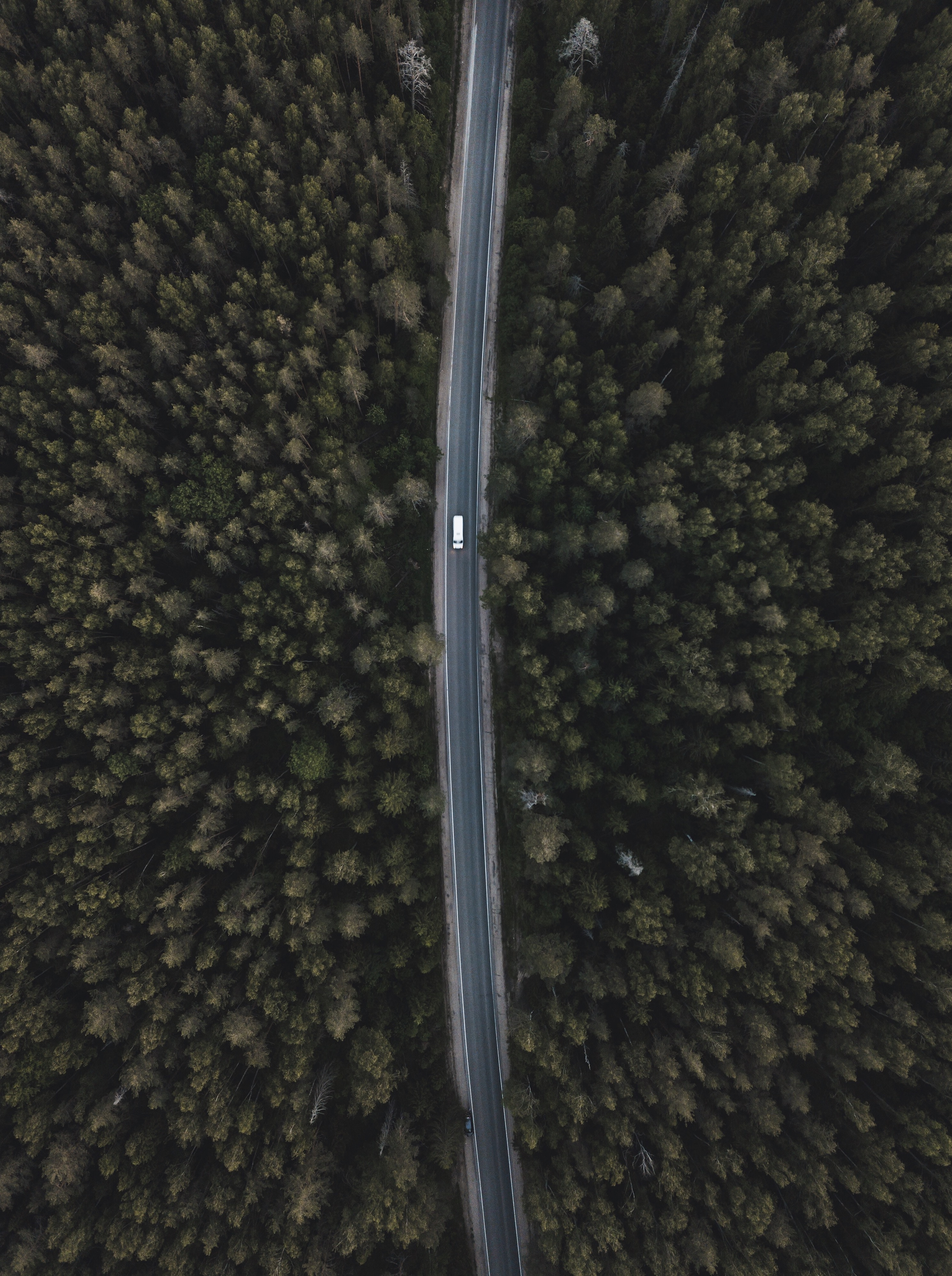 top, nature, trees, view from above, road, forest, tops HD wallpaper